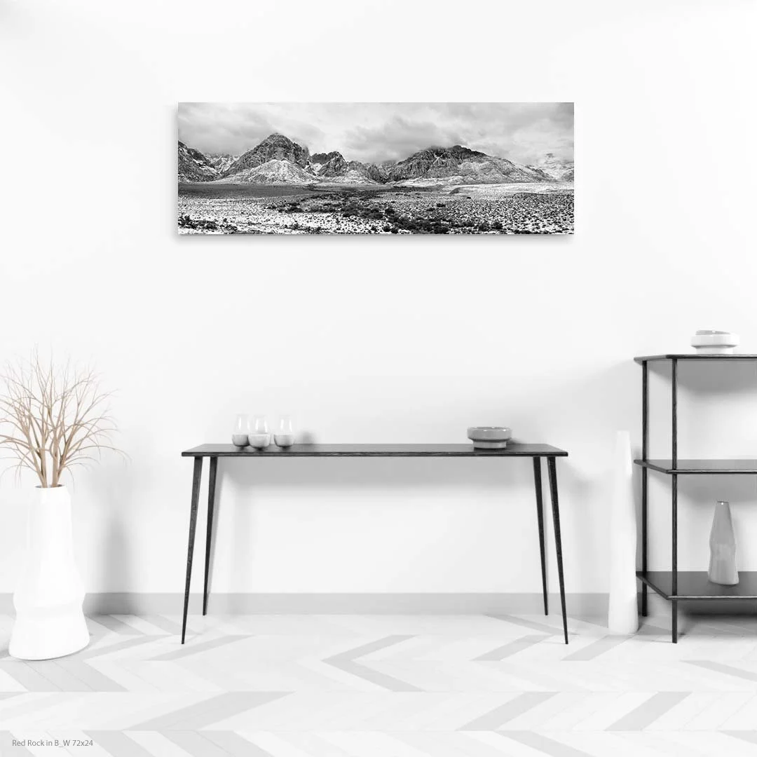 Red Rock in B_W 72x24.jpg