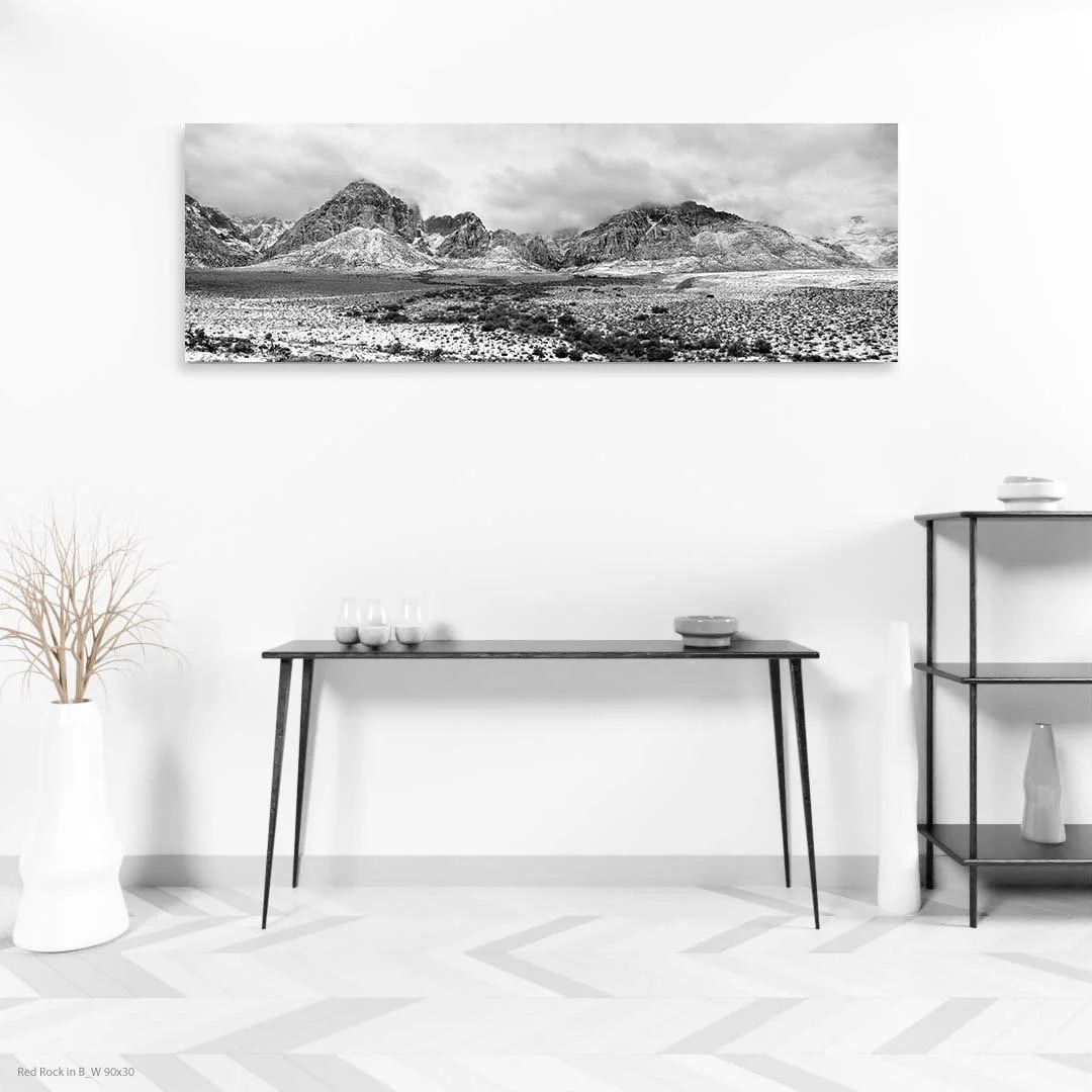 Red Rock in B_W 90x30.jpg