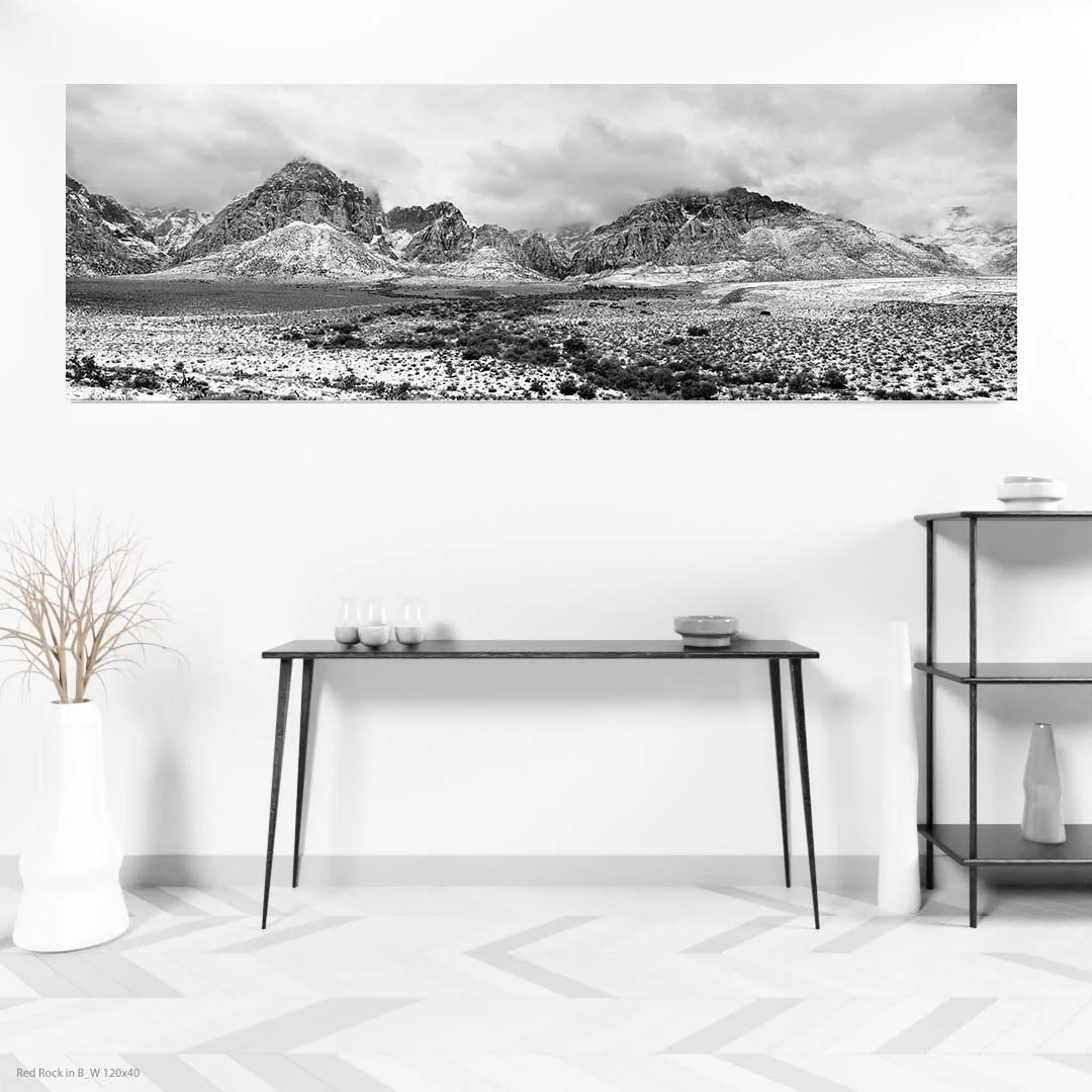 Red Rock in B_W 120x40.jpg