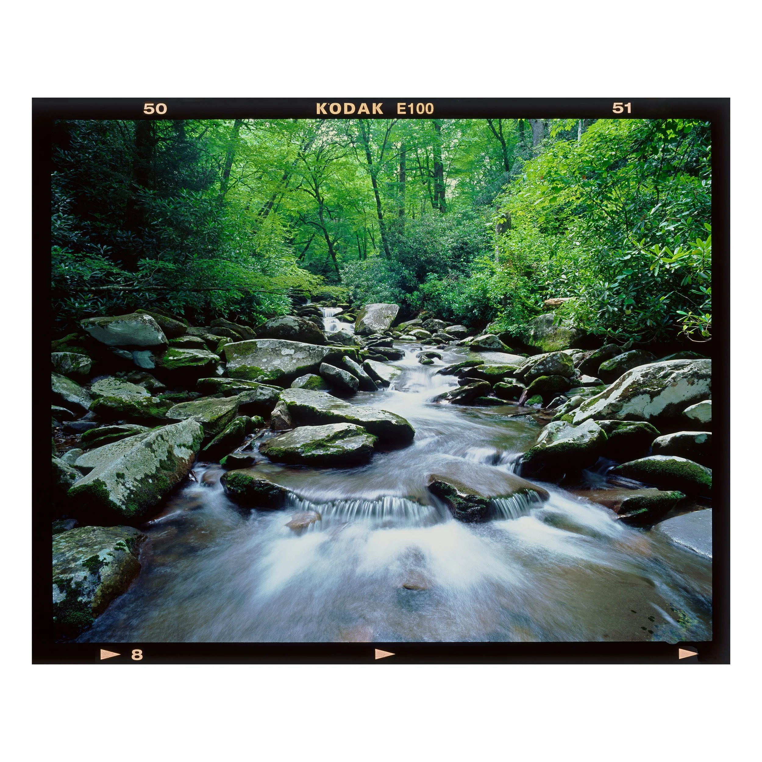 Smoky Mountain Summertime