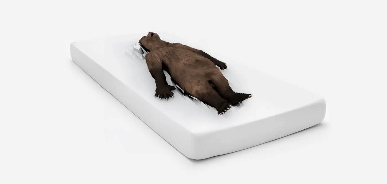 bearbed.jpg