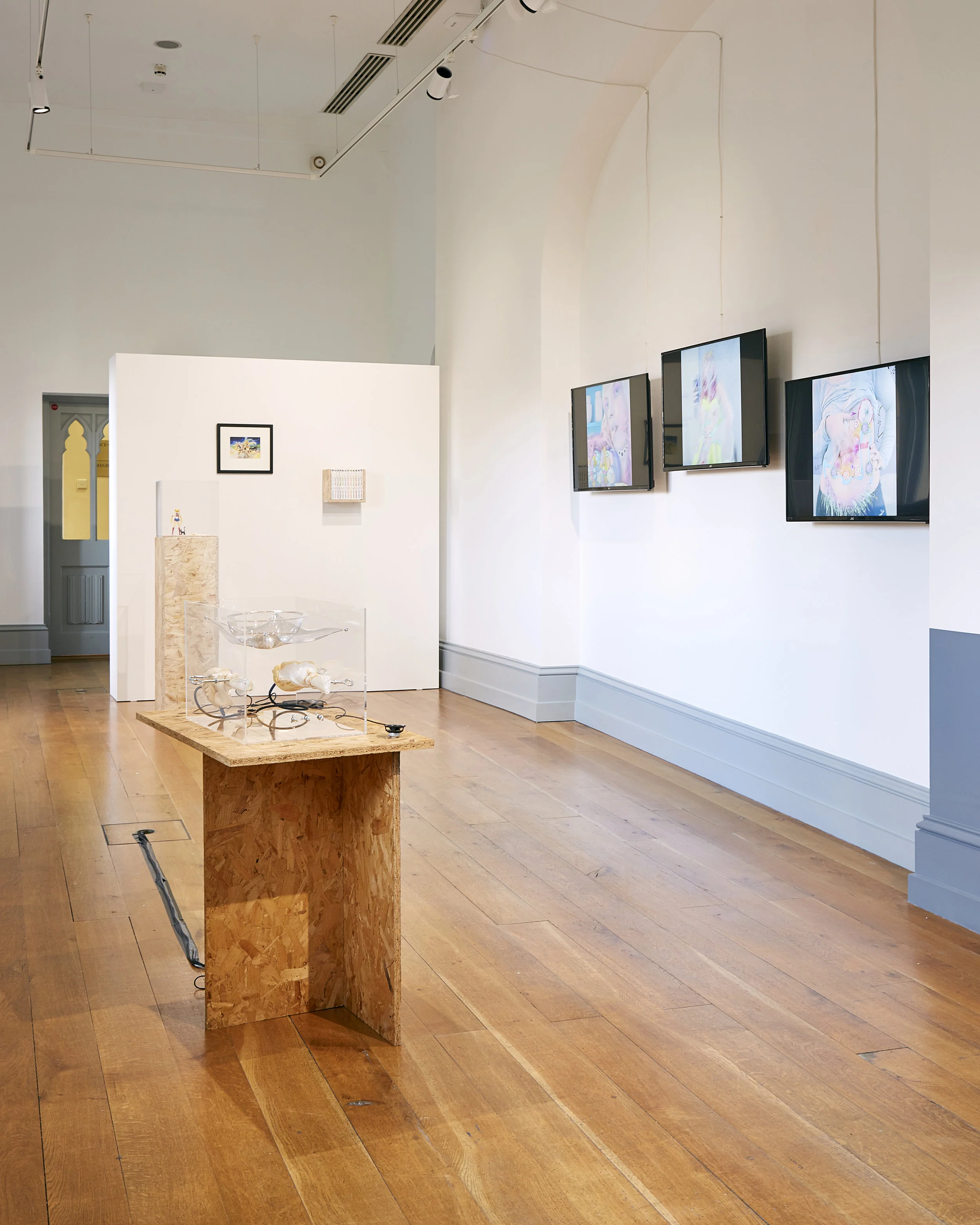 Exhibition view at Speculative Skins , co-curated by Rachel Vera Steinberg and Ben Crothers at The Naughton Gallery in Belfast, Ireland. On view February 15–April 8, 2018.