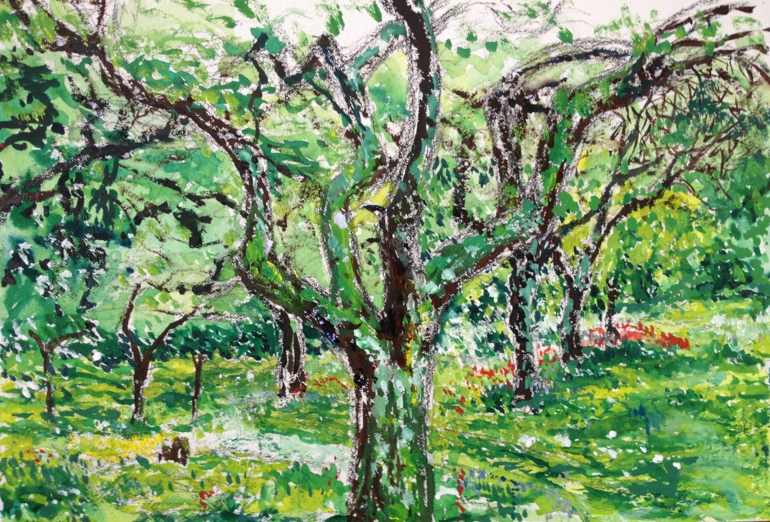 Hidcote Garden Orchard (Plein Air)