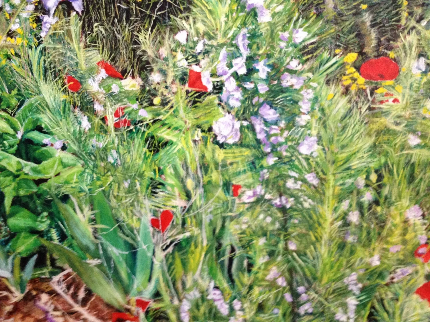 Detail of French Garden