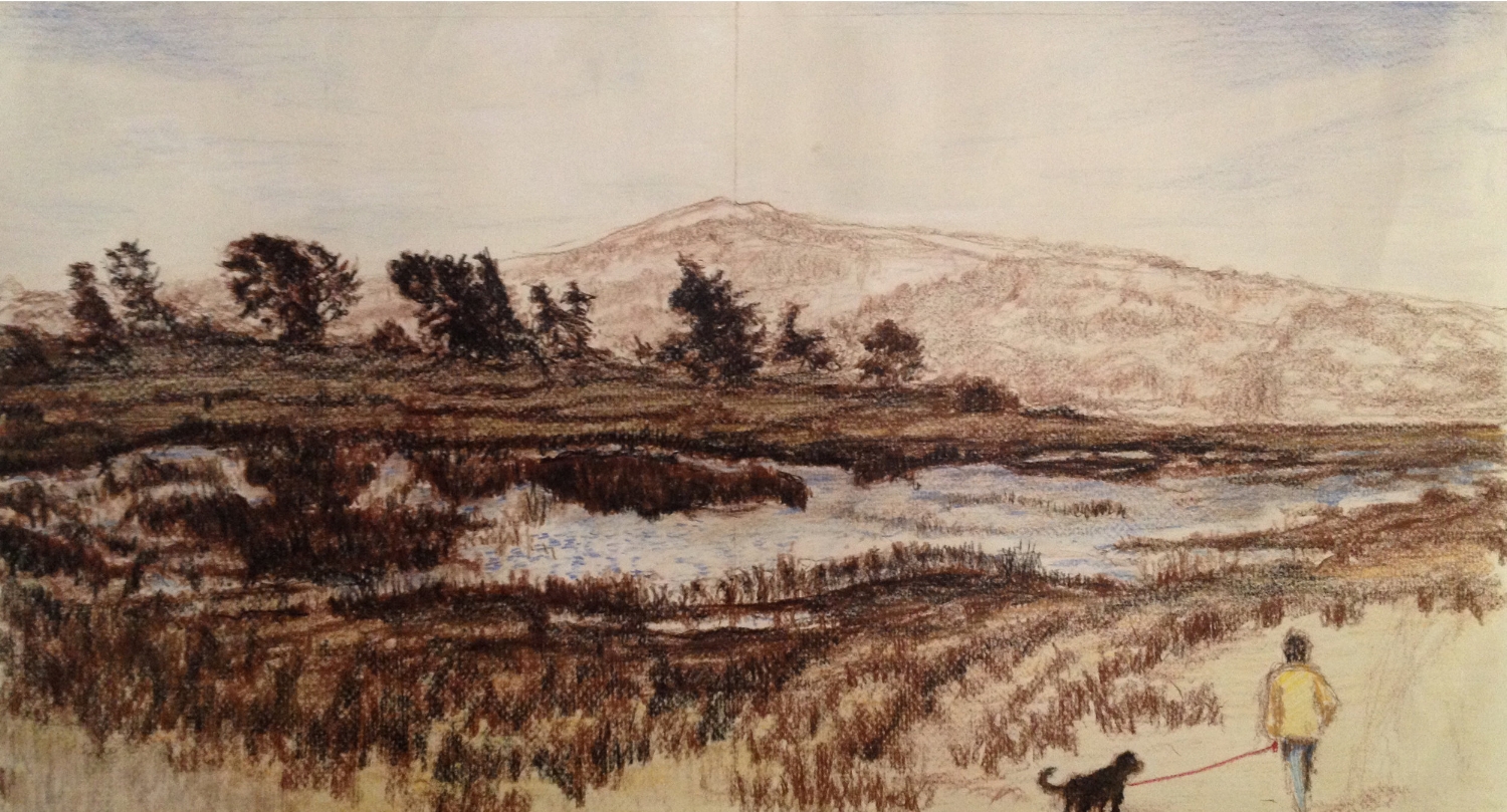 Study for Point Reyes Walk with Dog