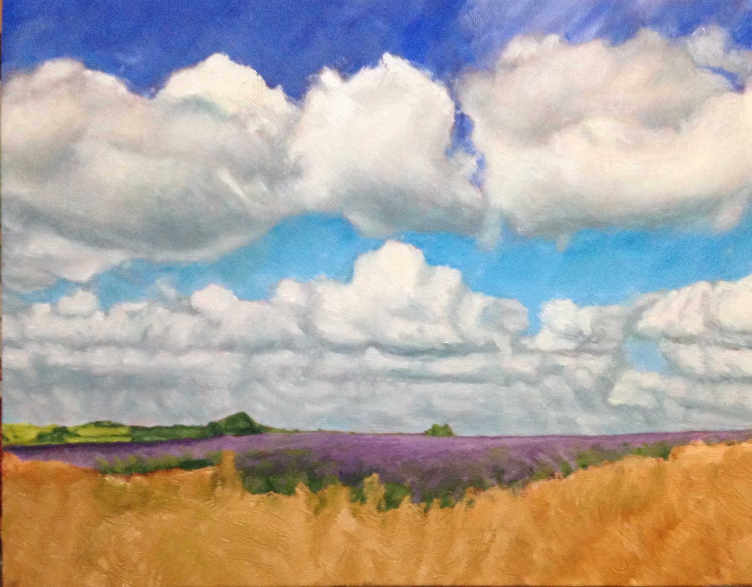 work in progress: lavender field and grass