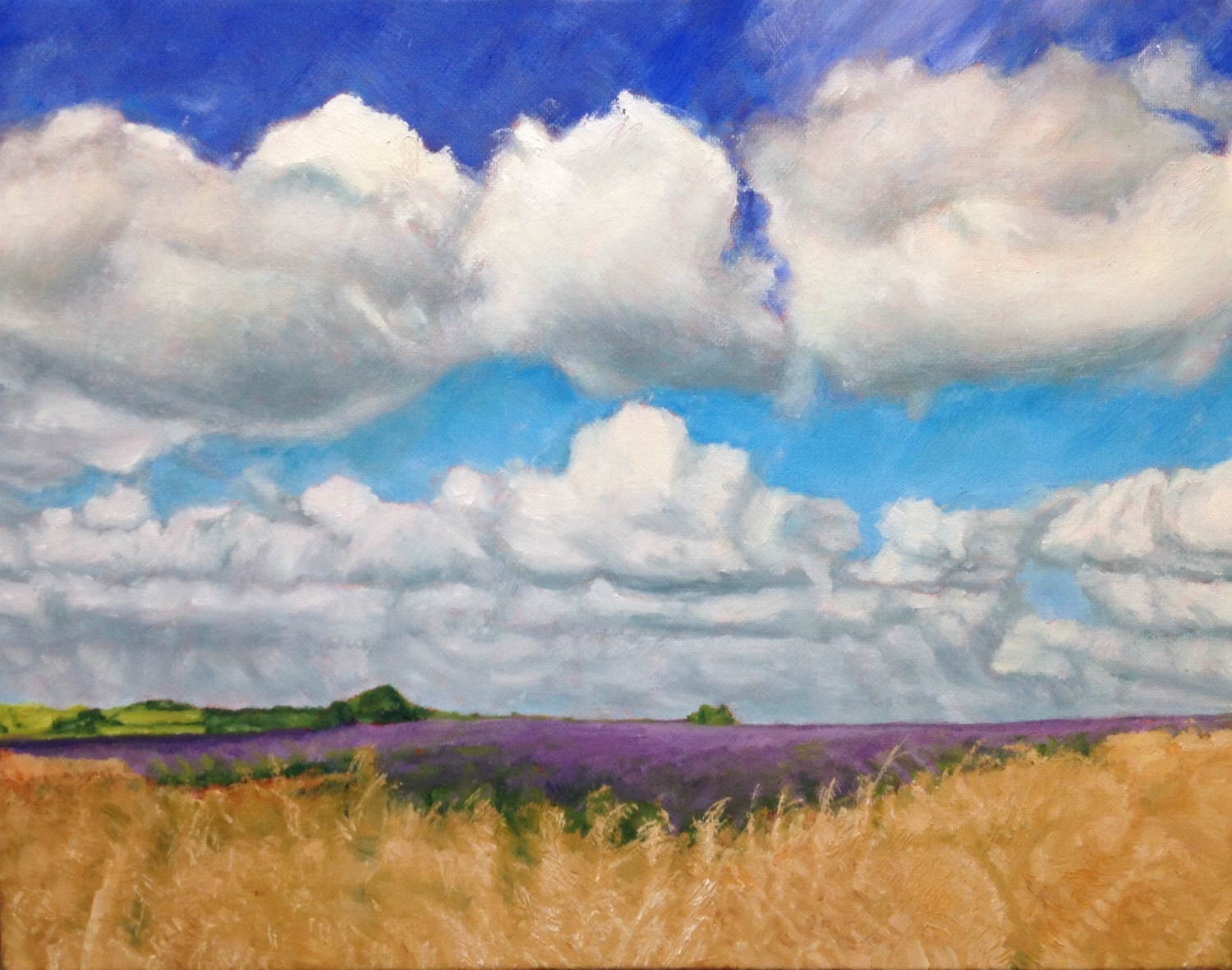 Completed lavender fields