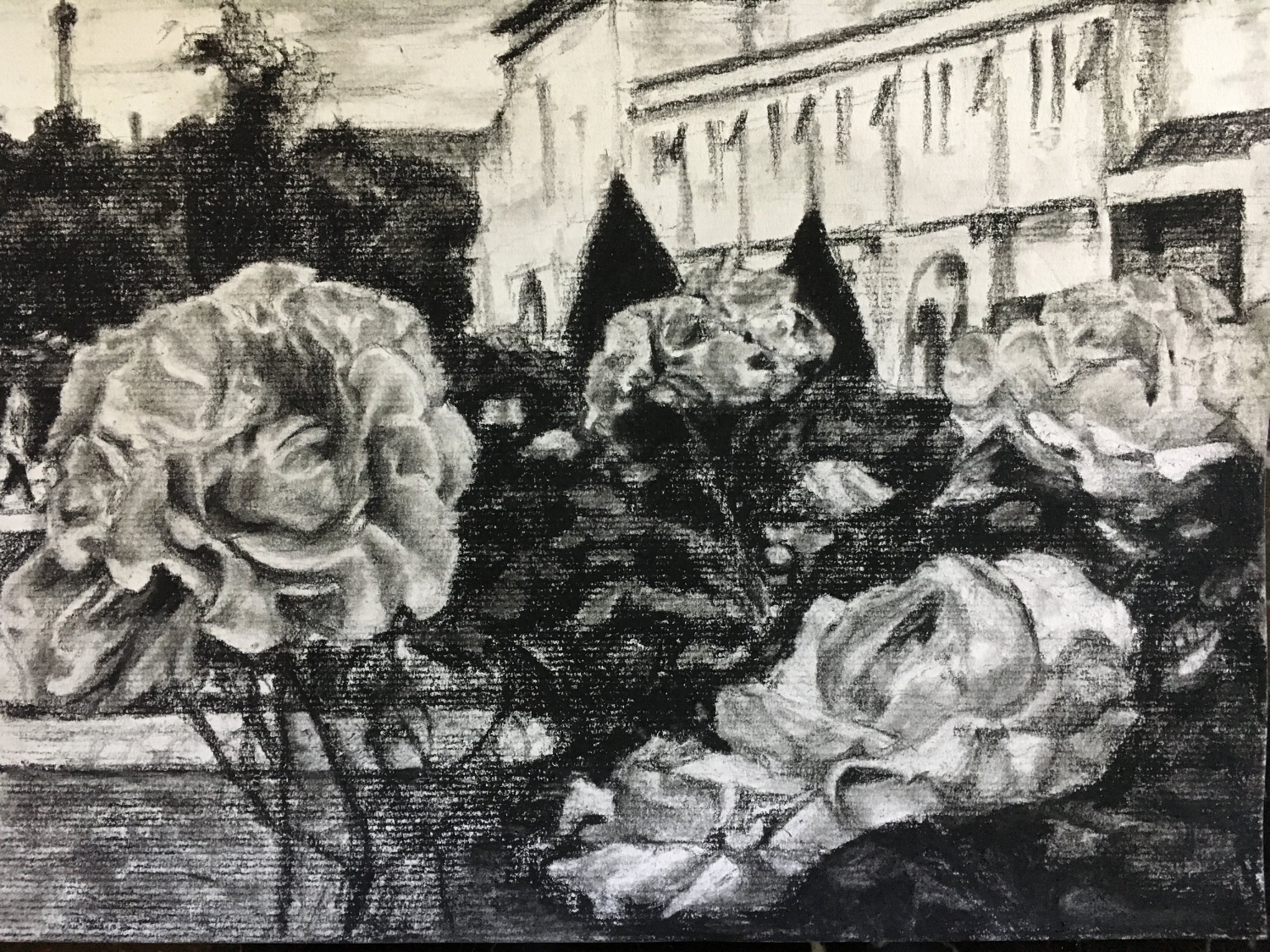 Roses within Garden at Musee Rodin in Paris