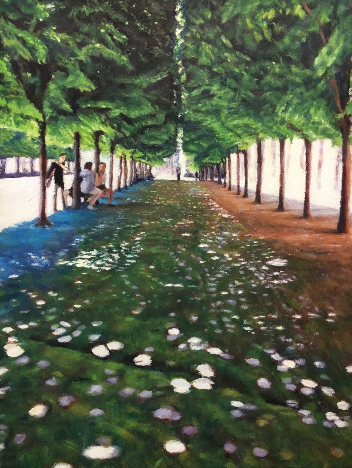 Dappled Light at Palais Royal