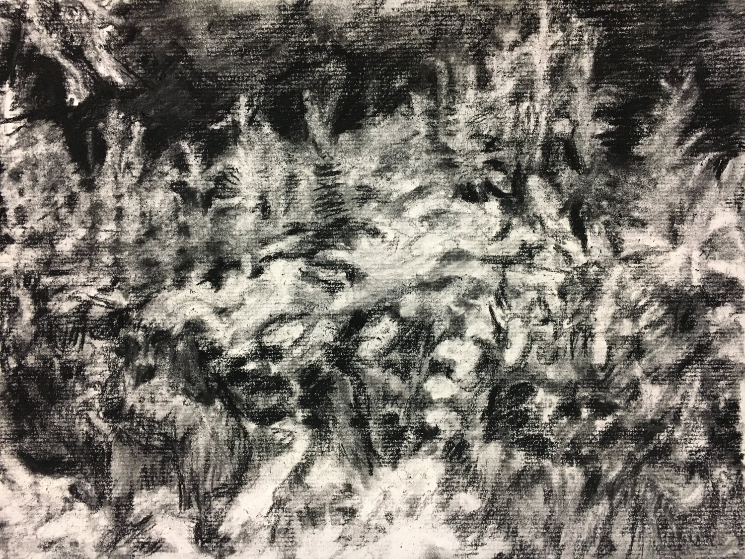 Charcoal sketch for painting