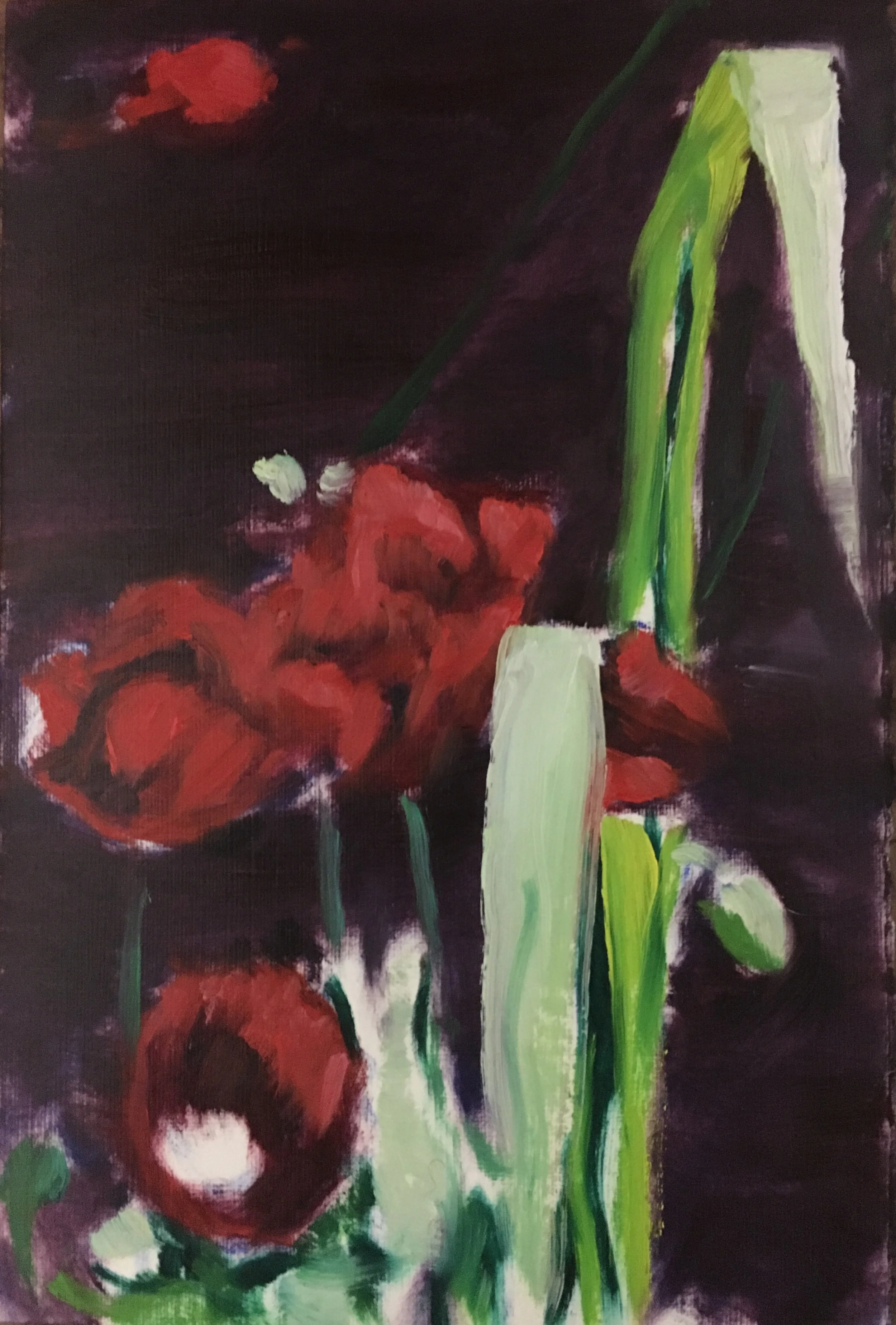 Quick Study of Poppies at Great Dixter (11 Jan)