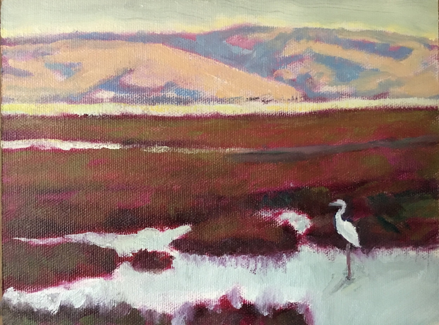 Quick Study of Baylands (8 Feb)