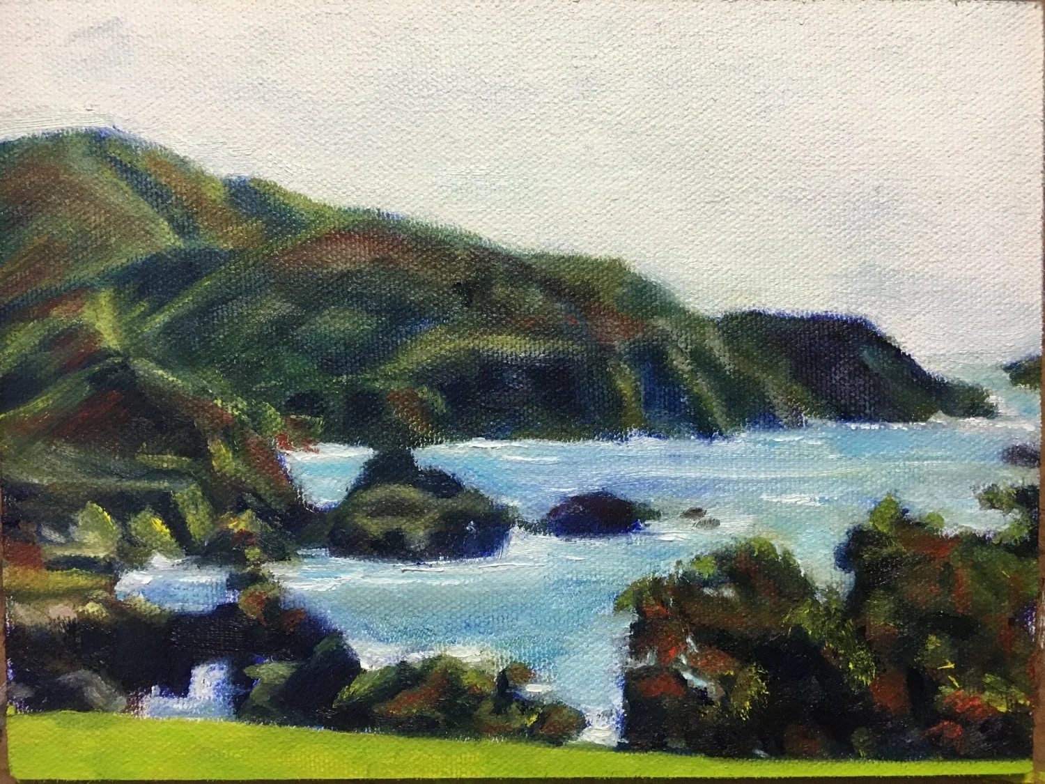 Quick Study California Coast 23 Feb