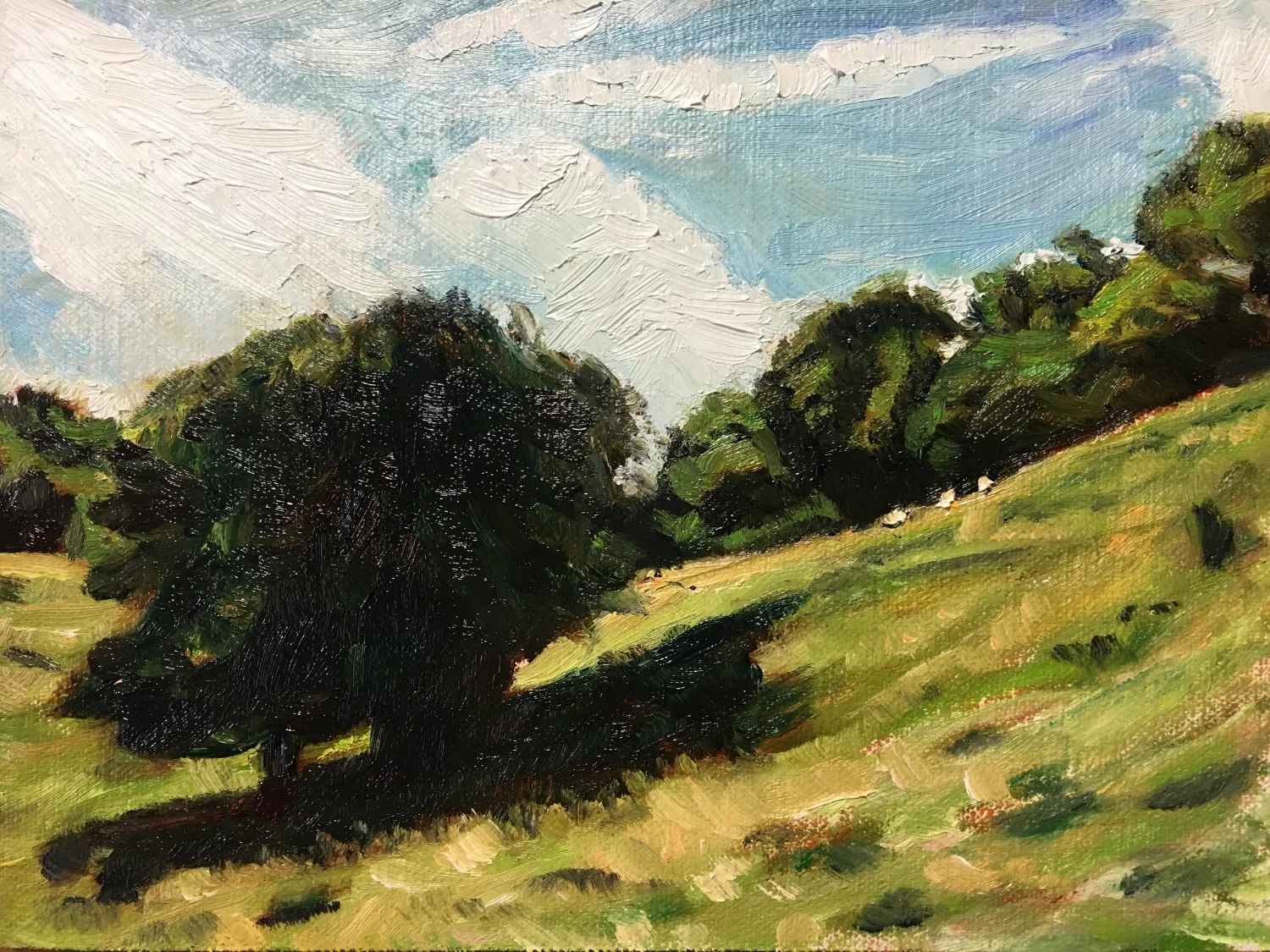 Quick Study of Dover's Hill above Chipping Campden