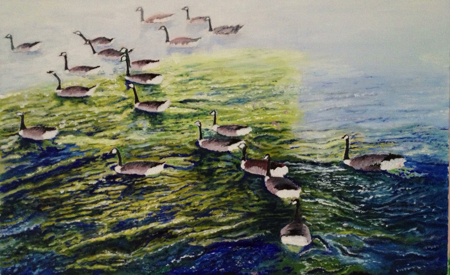 Swans on Avon River at Stratford