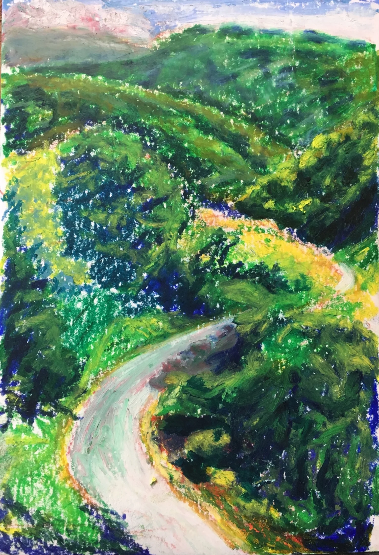 Foothills Park Study