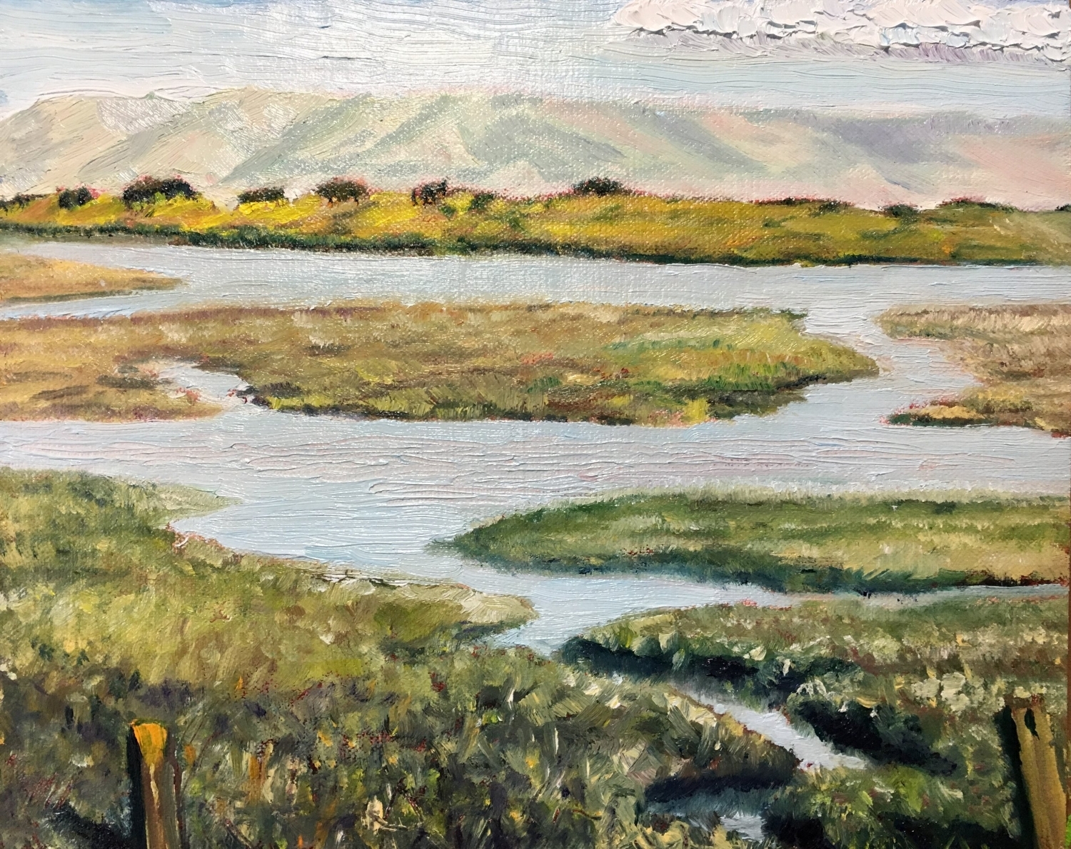 Baylands Tidal Marsh on late afternoon on May 18th (8x10)