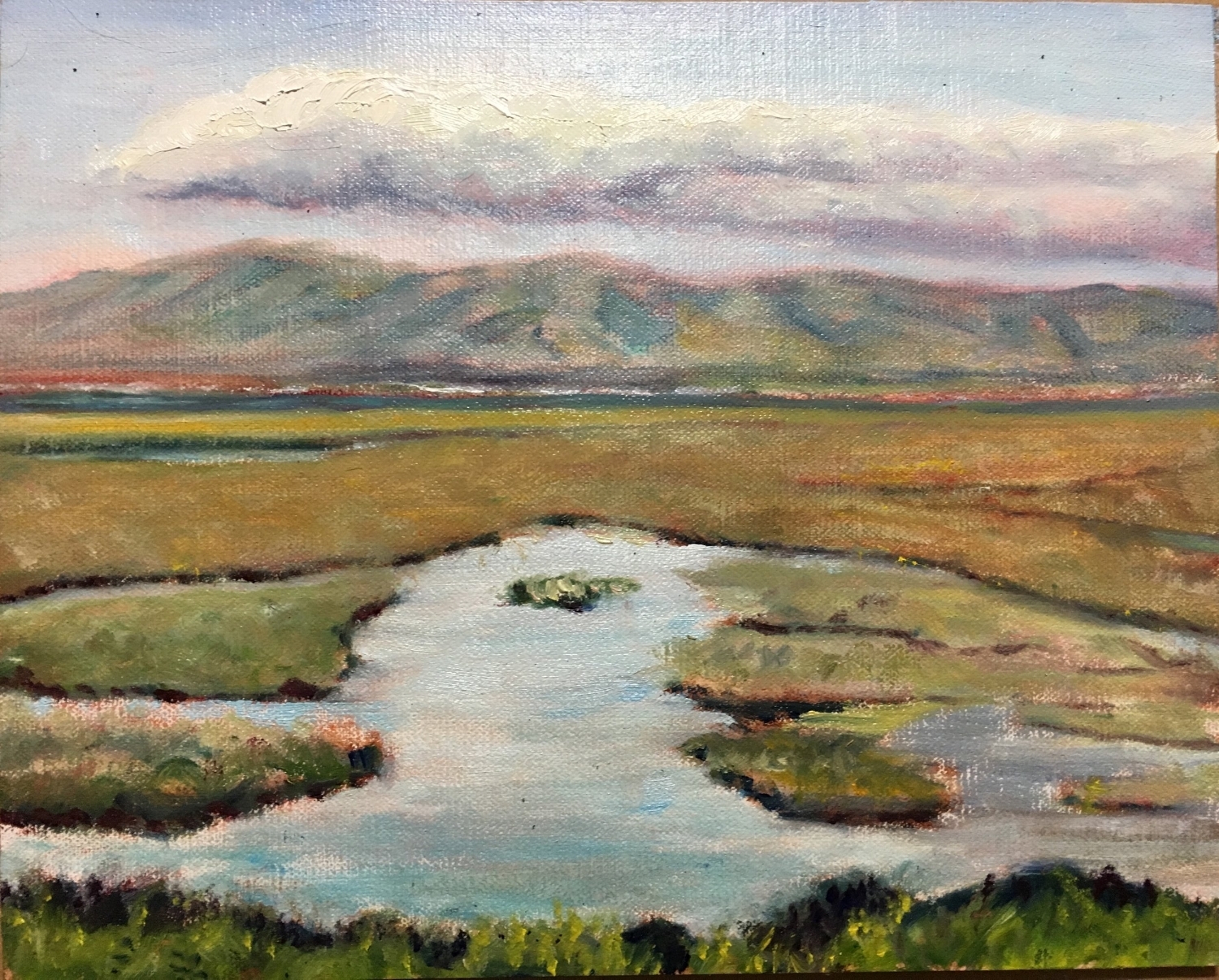 Afternoon on Baylands Marsh (8x10 - 09 May 2018)