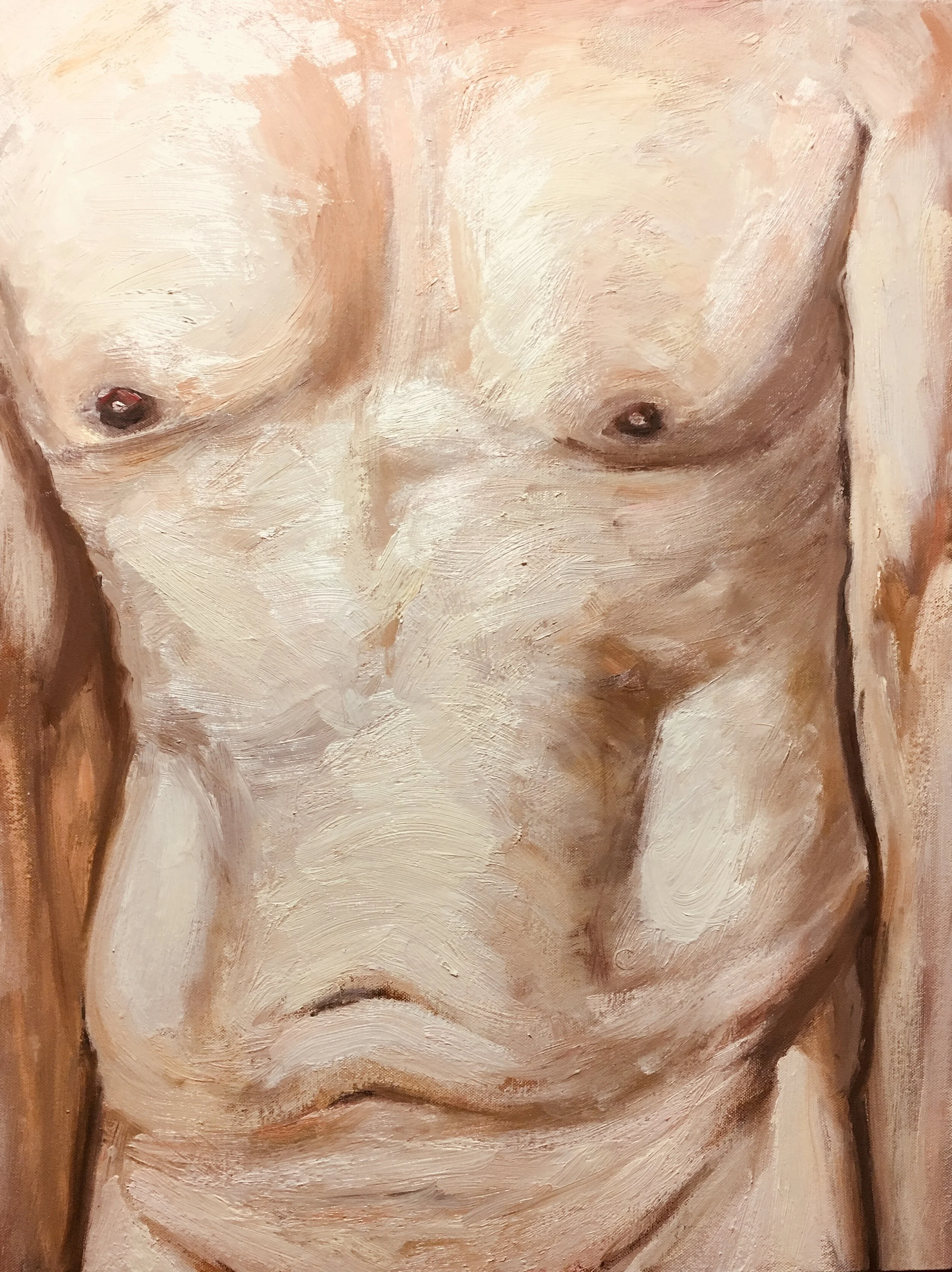 Torso (10 Feb 2020)