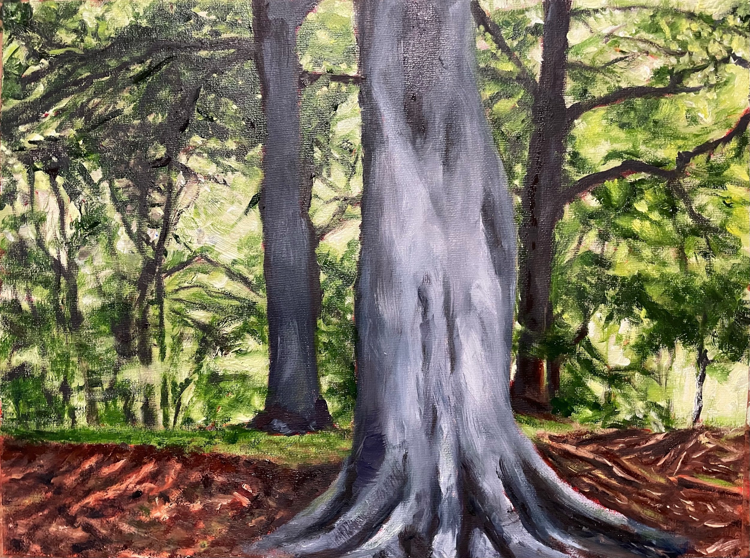 Grey Tree in Lidcombe Wood