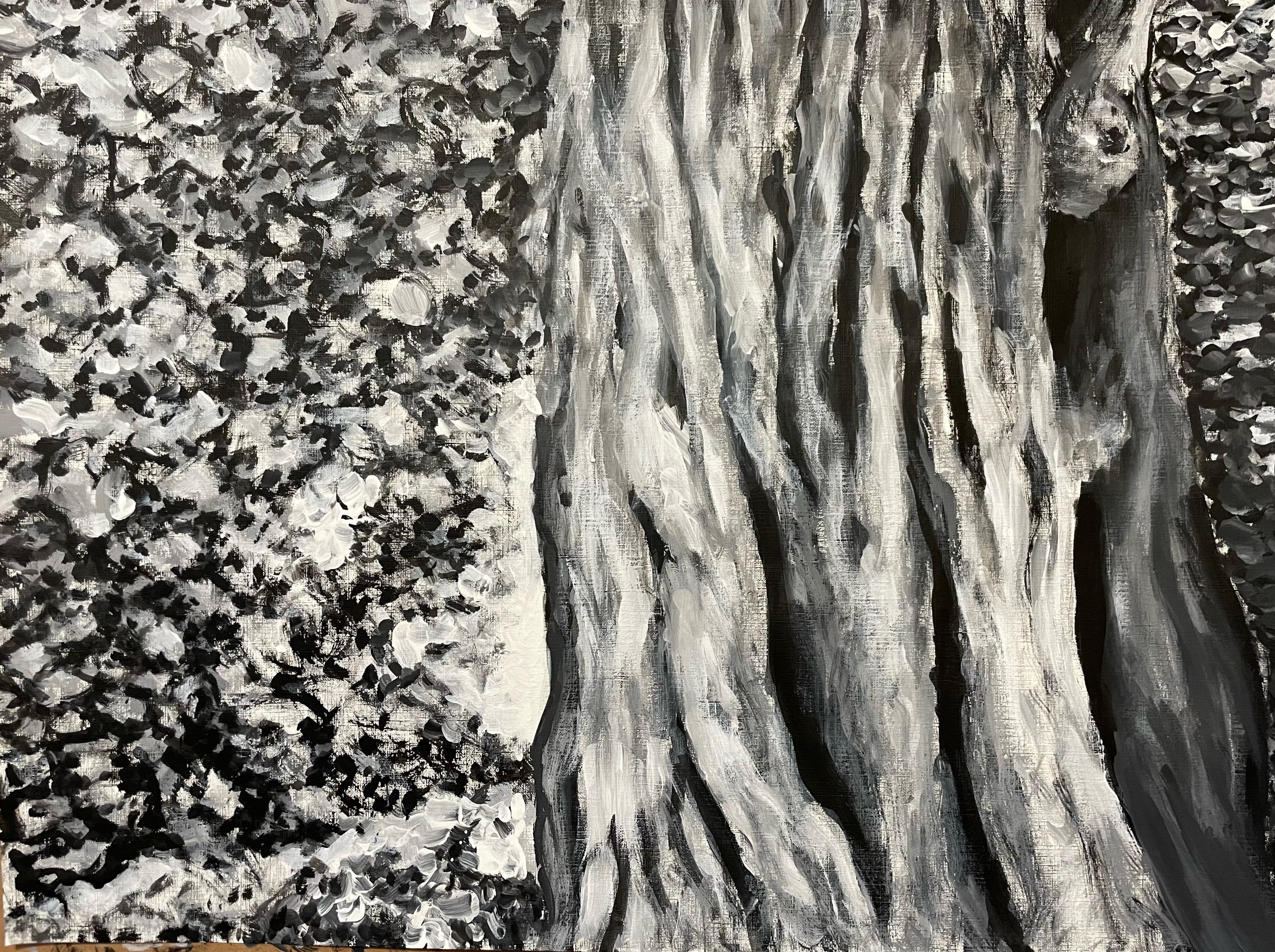 Oldest Tree (18x24 in) ink and gesso