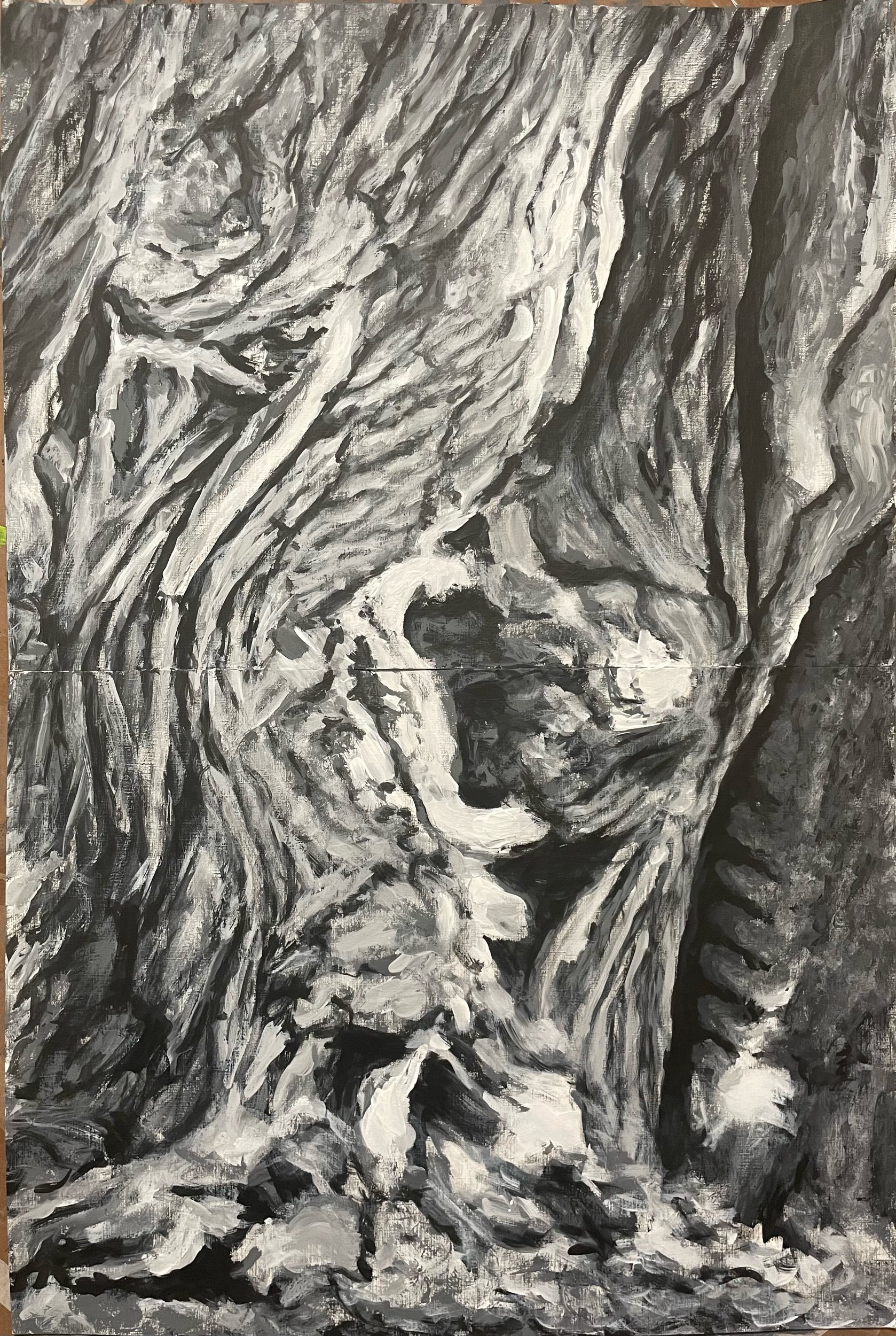 Oldest Tree (36x24 in) ink and Gesso