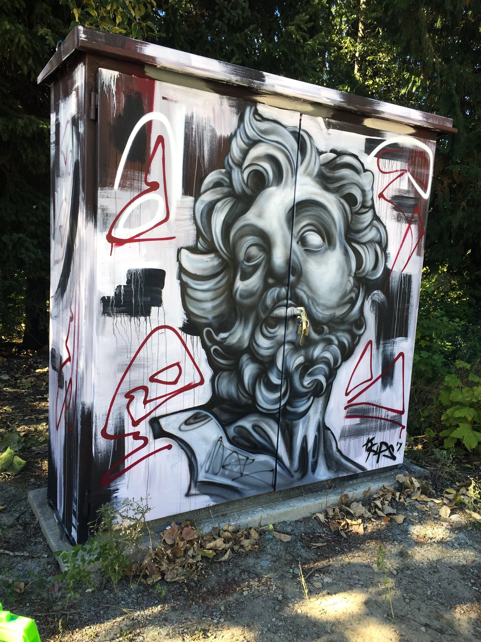 Gallery Box - 6' x 8'