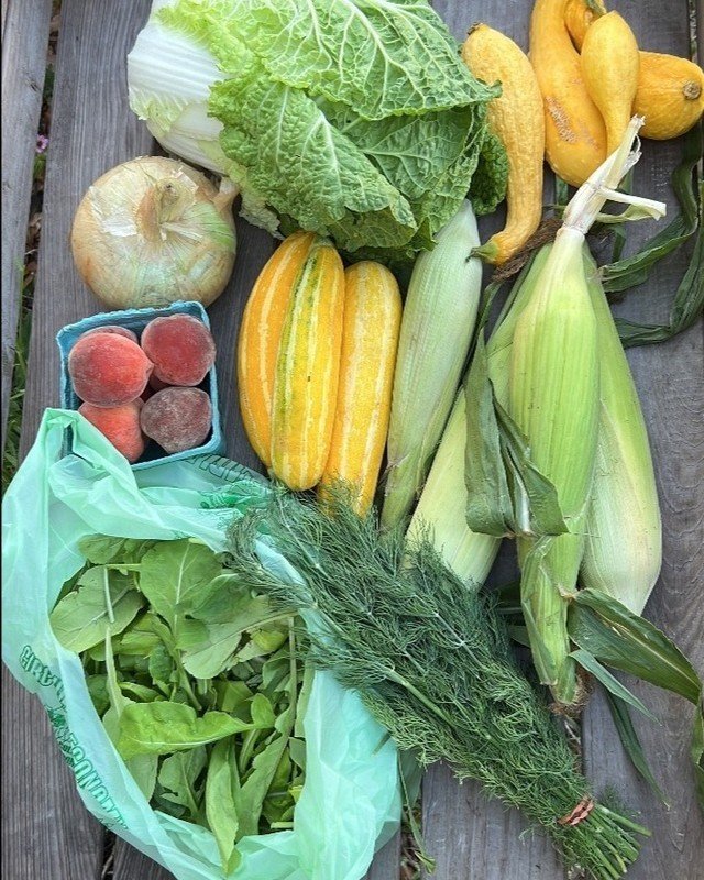 Weekly Newsletter with a new pick-up spot, sourdough bread, new veggies &amp; a weekly recipe. Read more - linked above in stories!
.
.
.
#farmfreshtoyou #onlinefarmersmarket #asimplerplace #riverviewfl #lithiafl #greengrocer