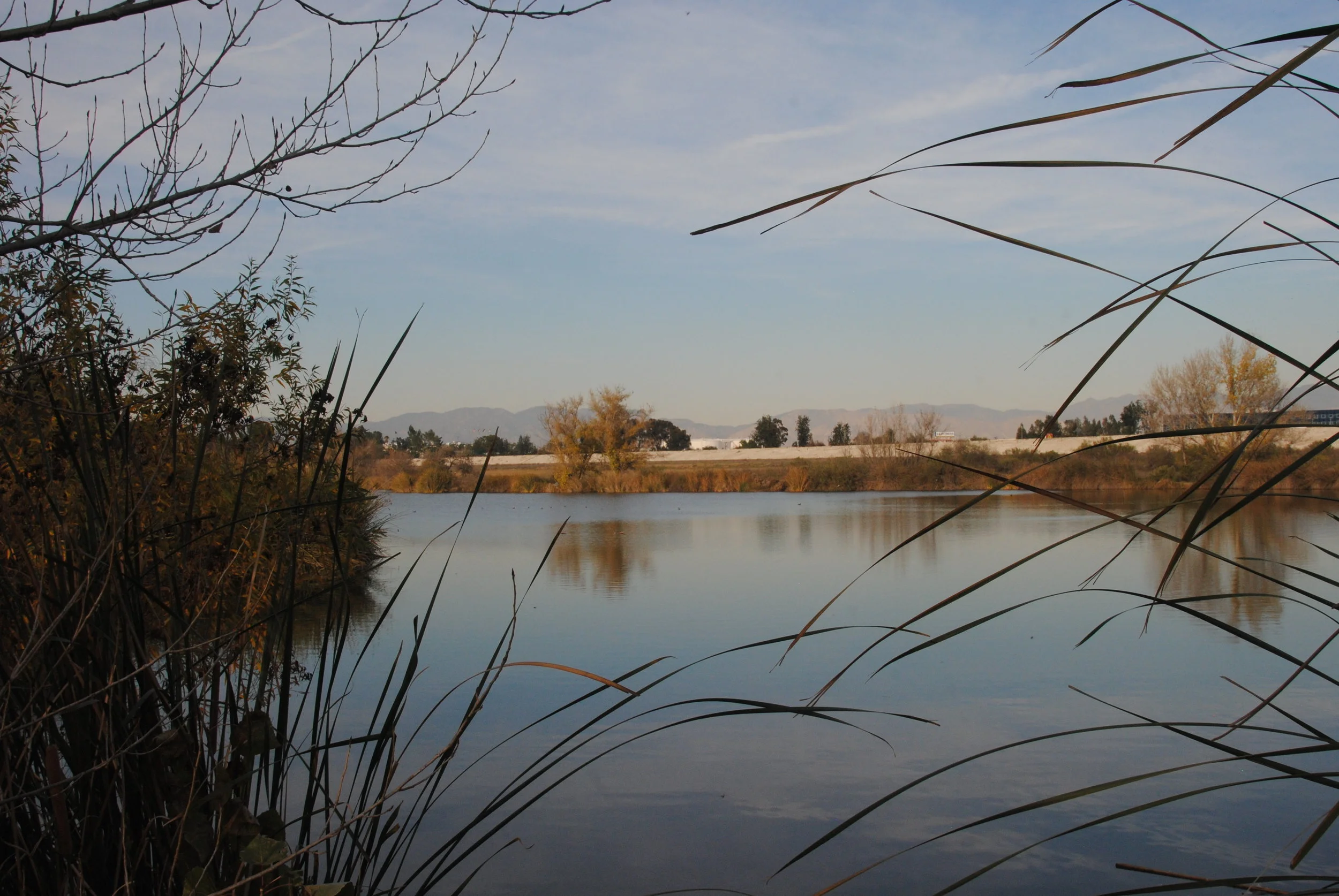 DSC_0117.JPG