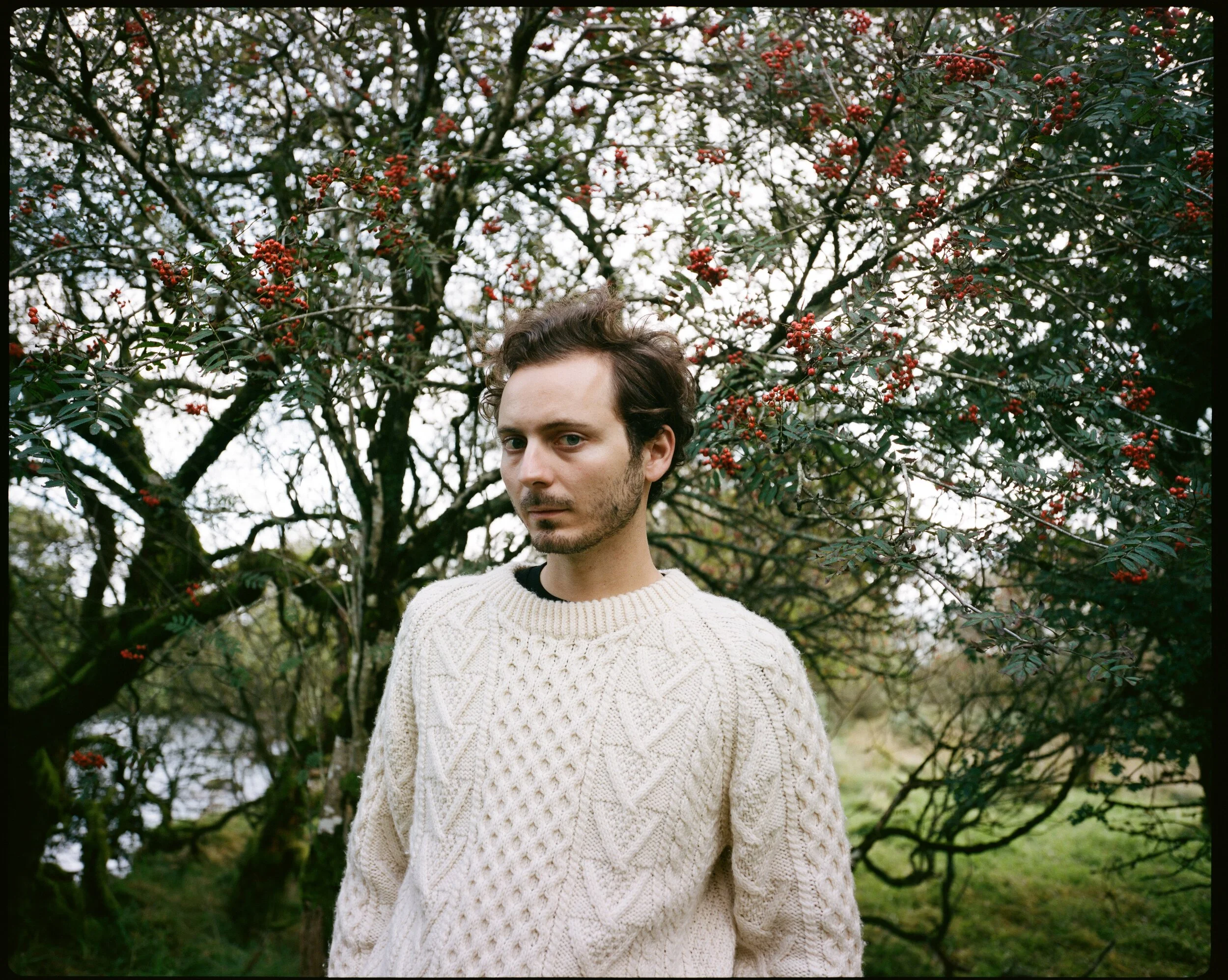 Gilles, 2019
