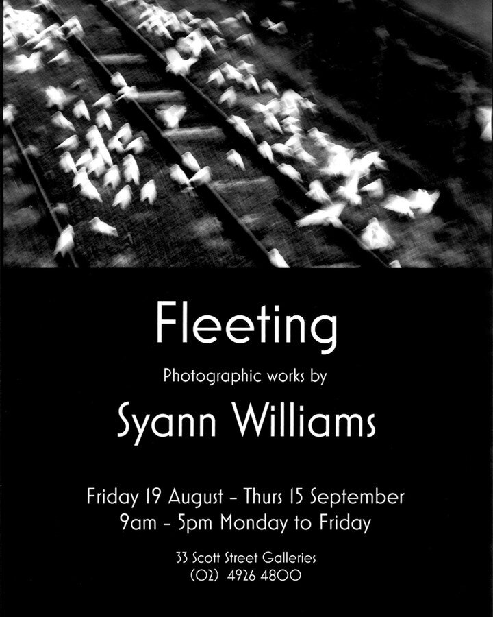 Shaddock Architects &amp; 33 Scott St Galleries welcome:

Syann Williams &ndash; Fleeting
19.08.22 &ndash; 15.09.22
 
&lsquo;Fleeting&rsquo; is inspired by the flocks of corellas that visit Newcastle each year as they follow the trains carrying grain