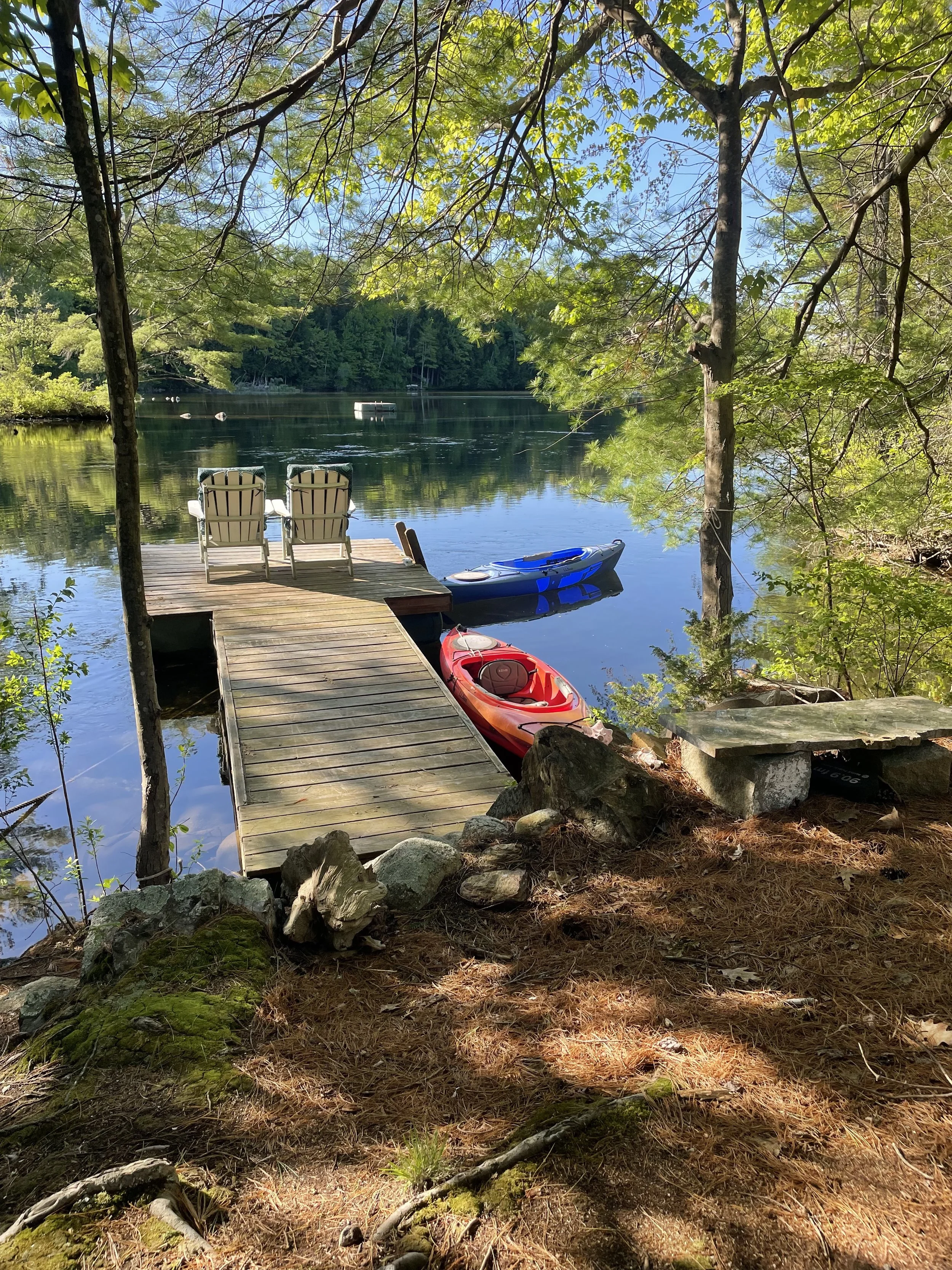 Above &amp; Beyond N Gorham Pond