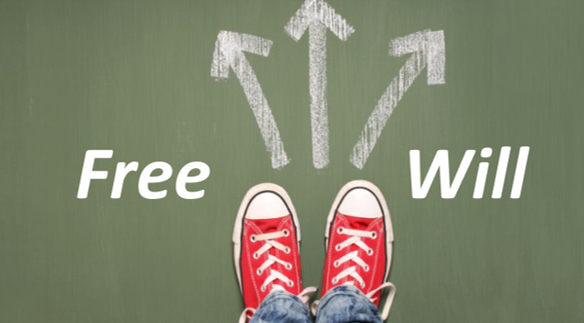 Spiritism4U- Class #18 - Free Will