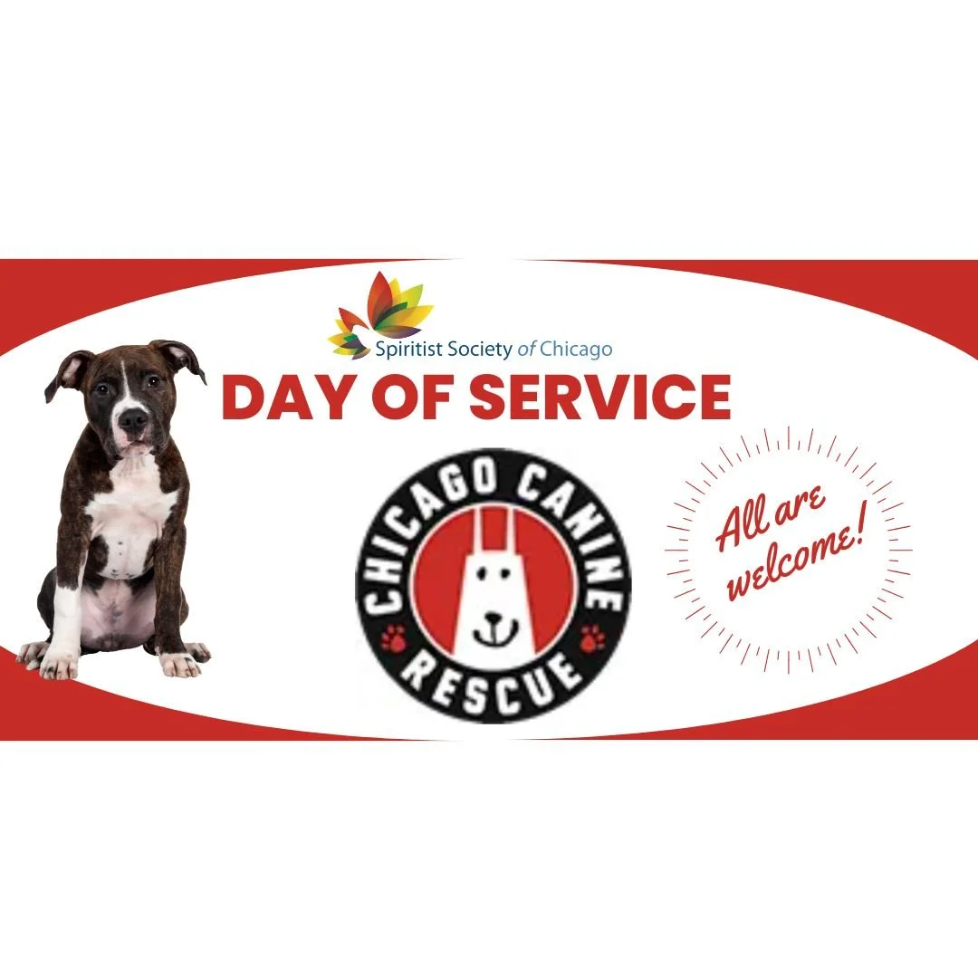 DAY OF SERVICE - Chicago Canine Rescue 