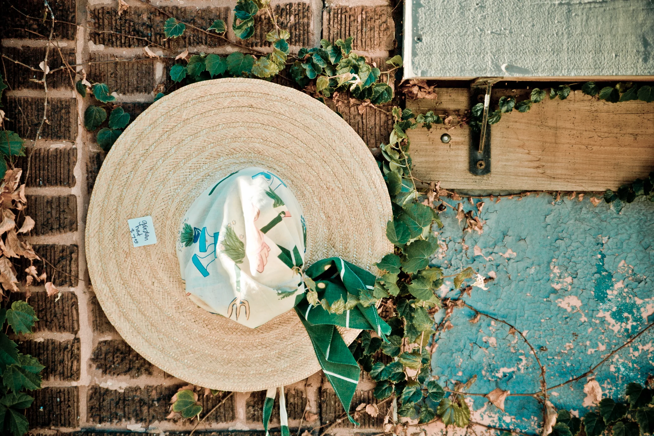 Still Life-136.jpg
