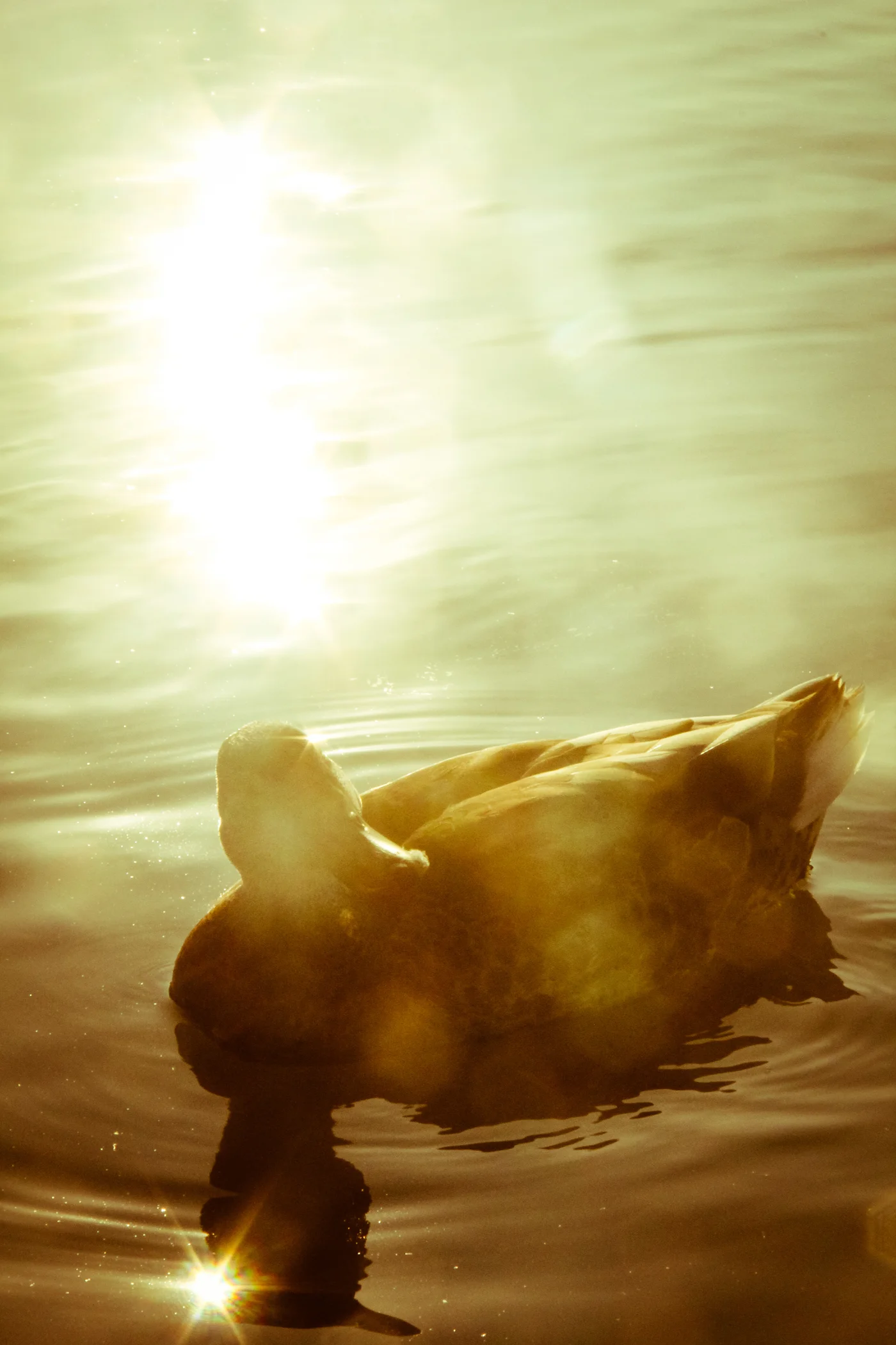Nature-101.jpg