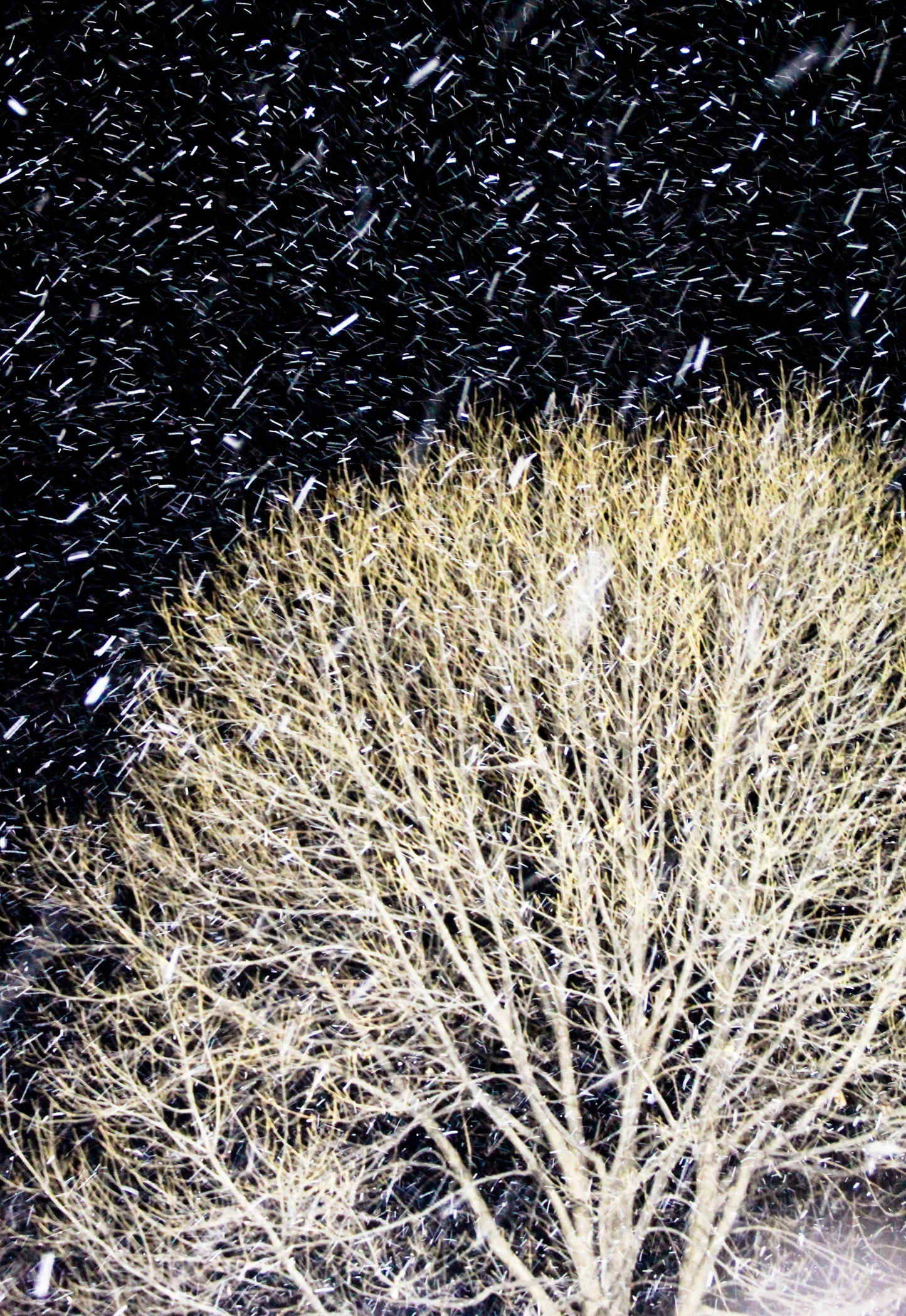 Nature-113.jpg