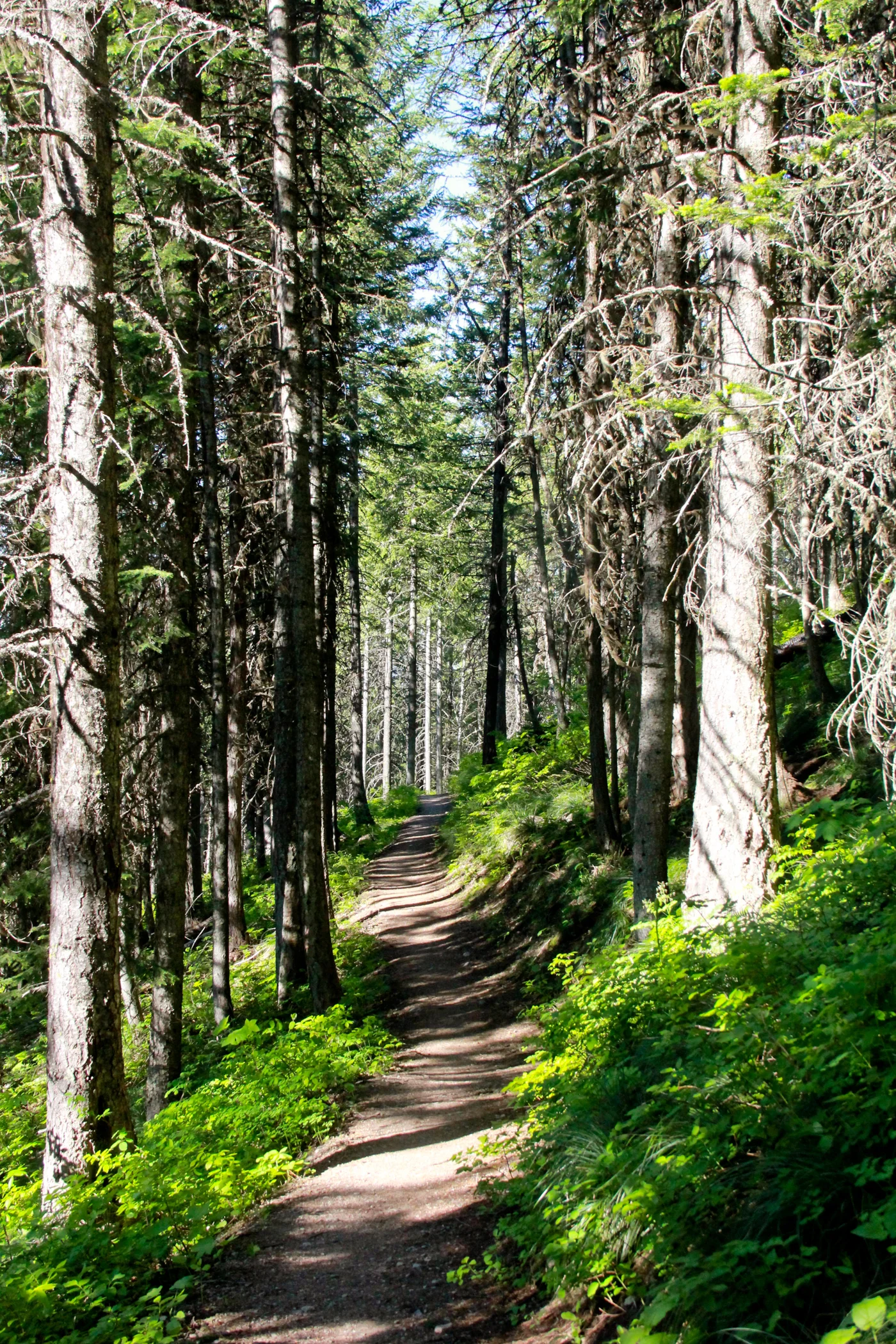 Nature-120.jpg