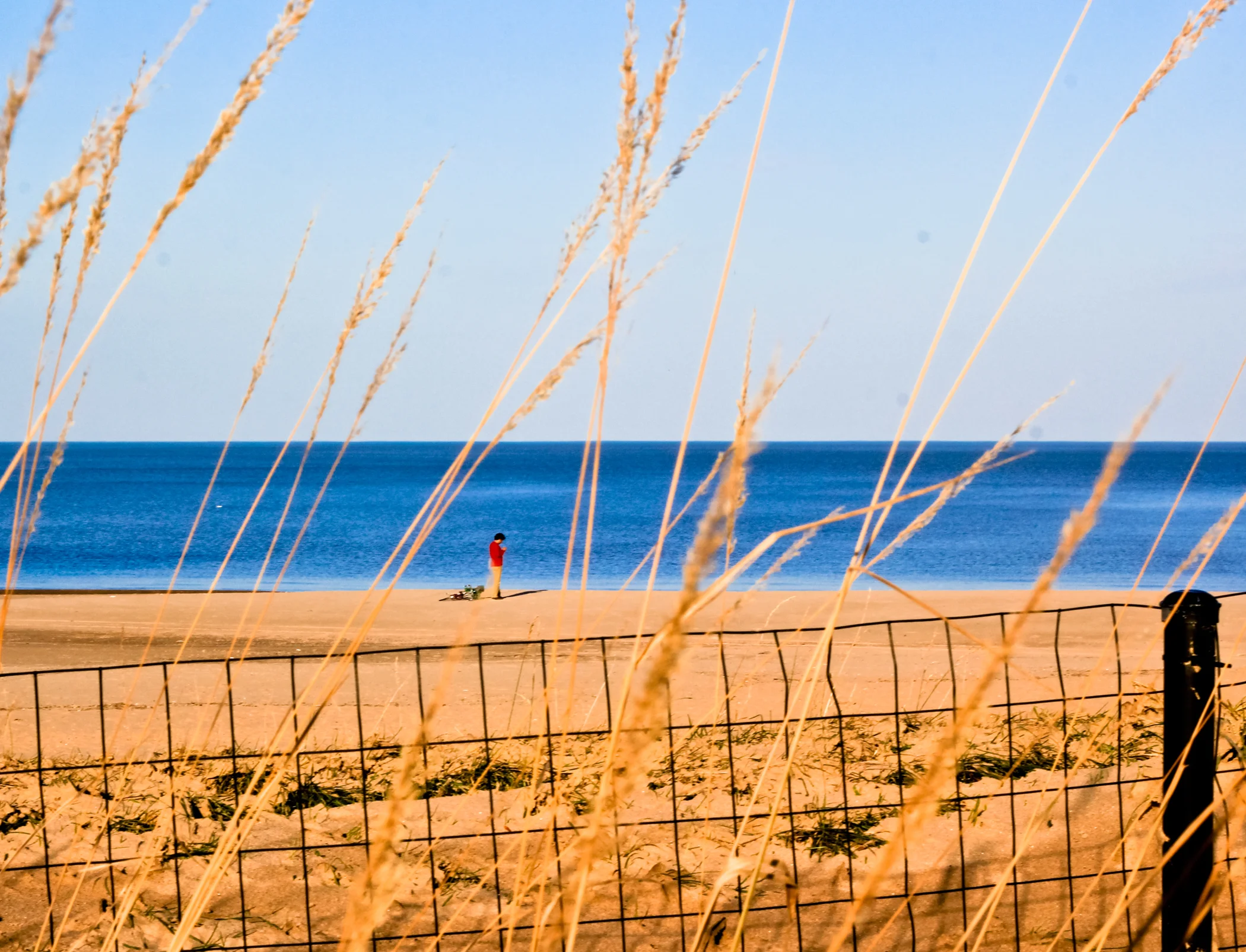 Nature-123.jpg