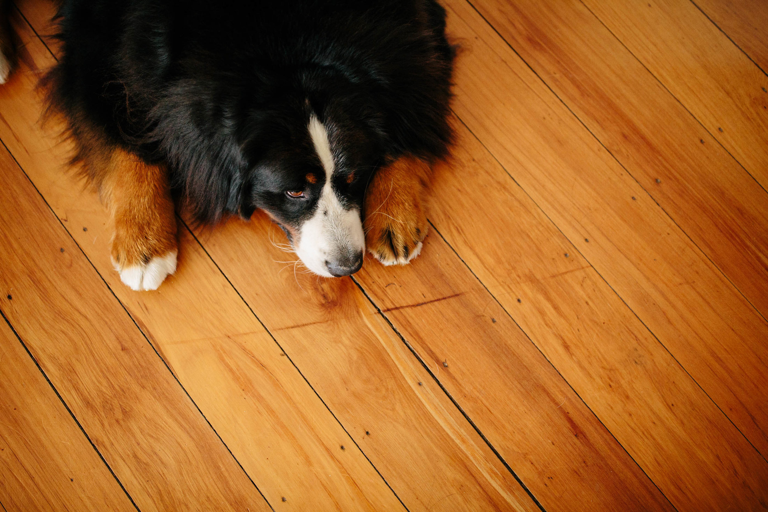 Benji-Web-134.jpg