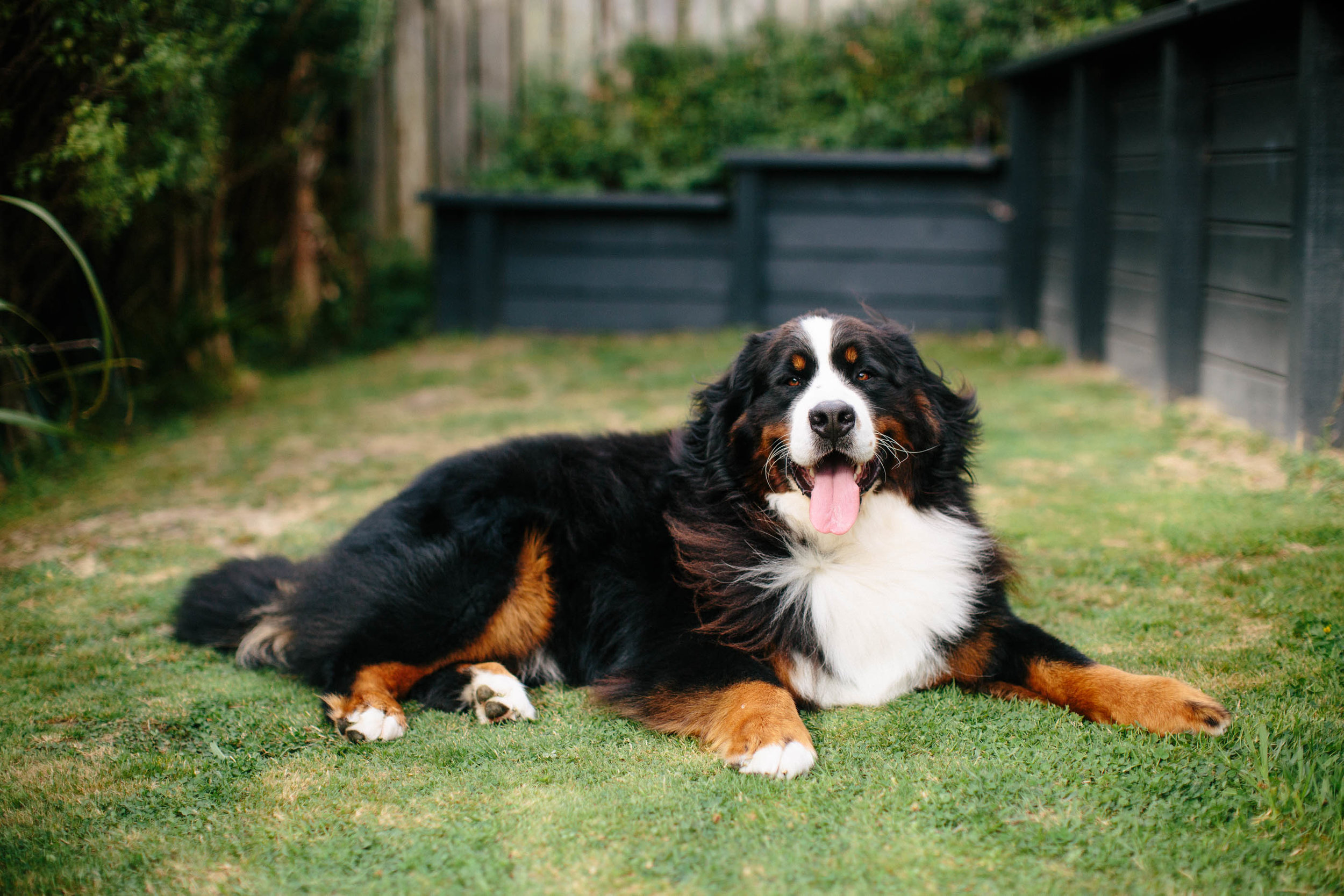 Benji-Web-207.jpg