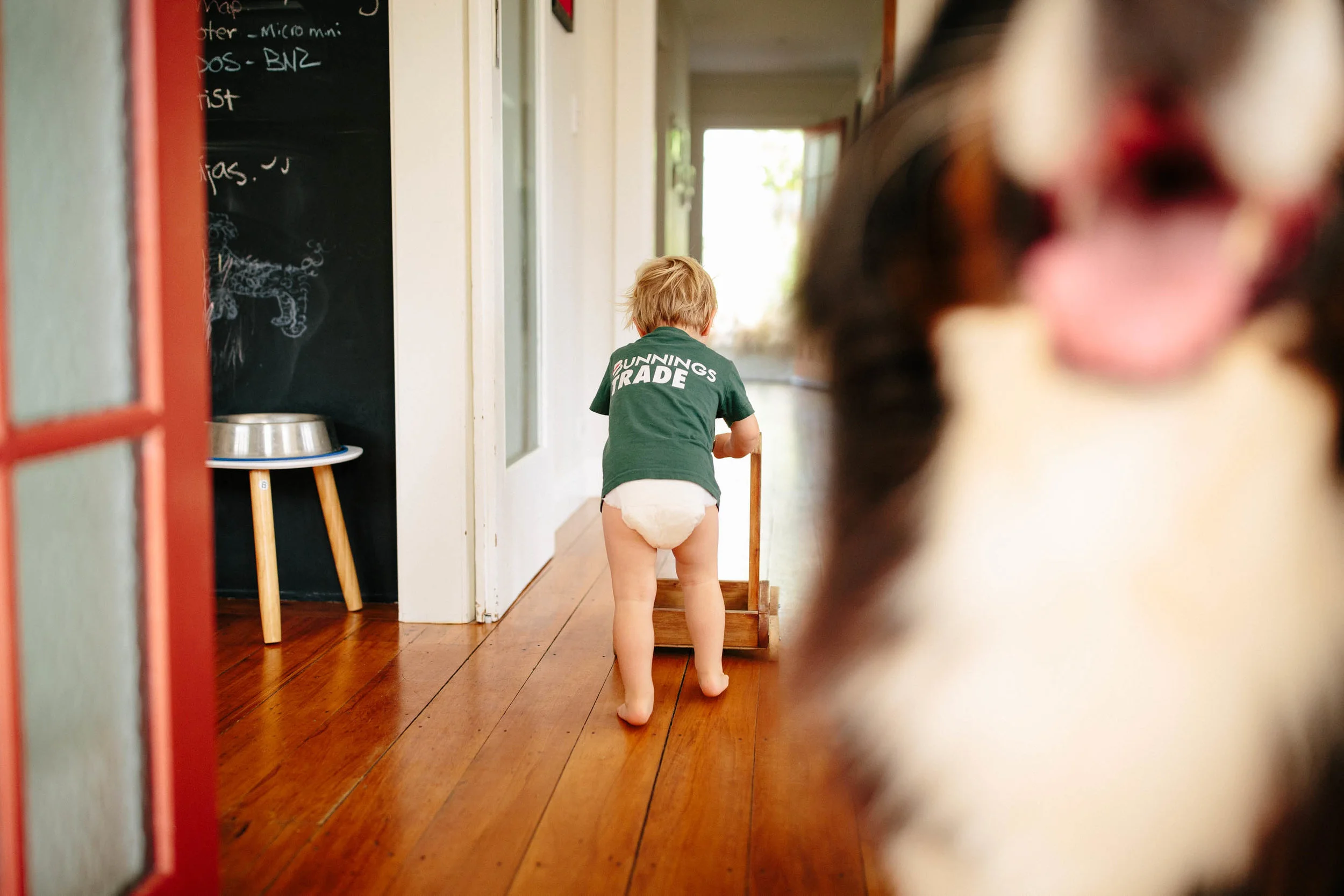Benji-Web-14.jpg