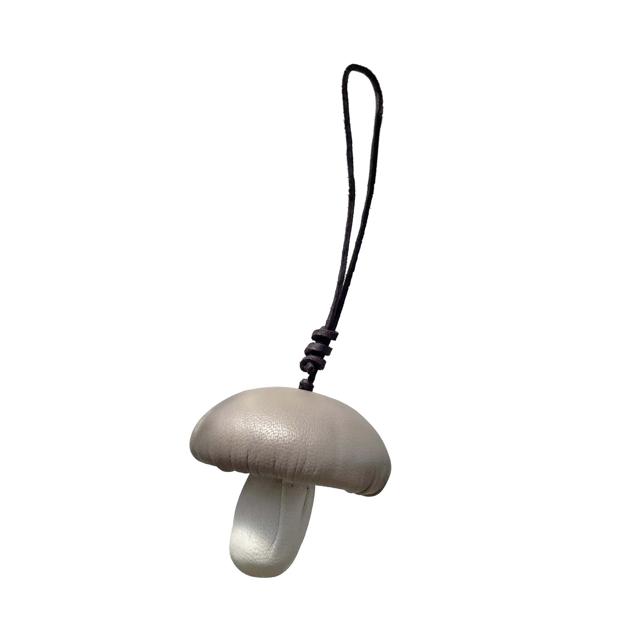 MUSHROOM_2B.jpg