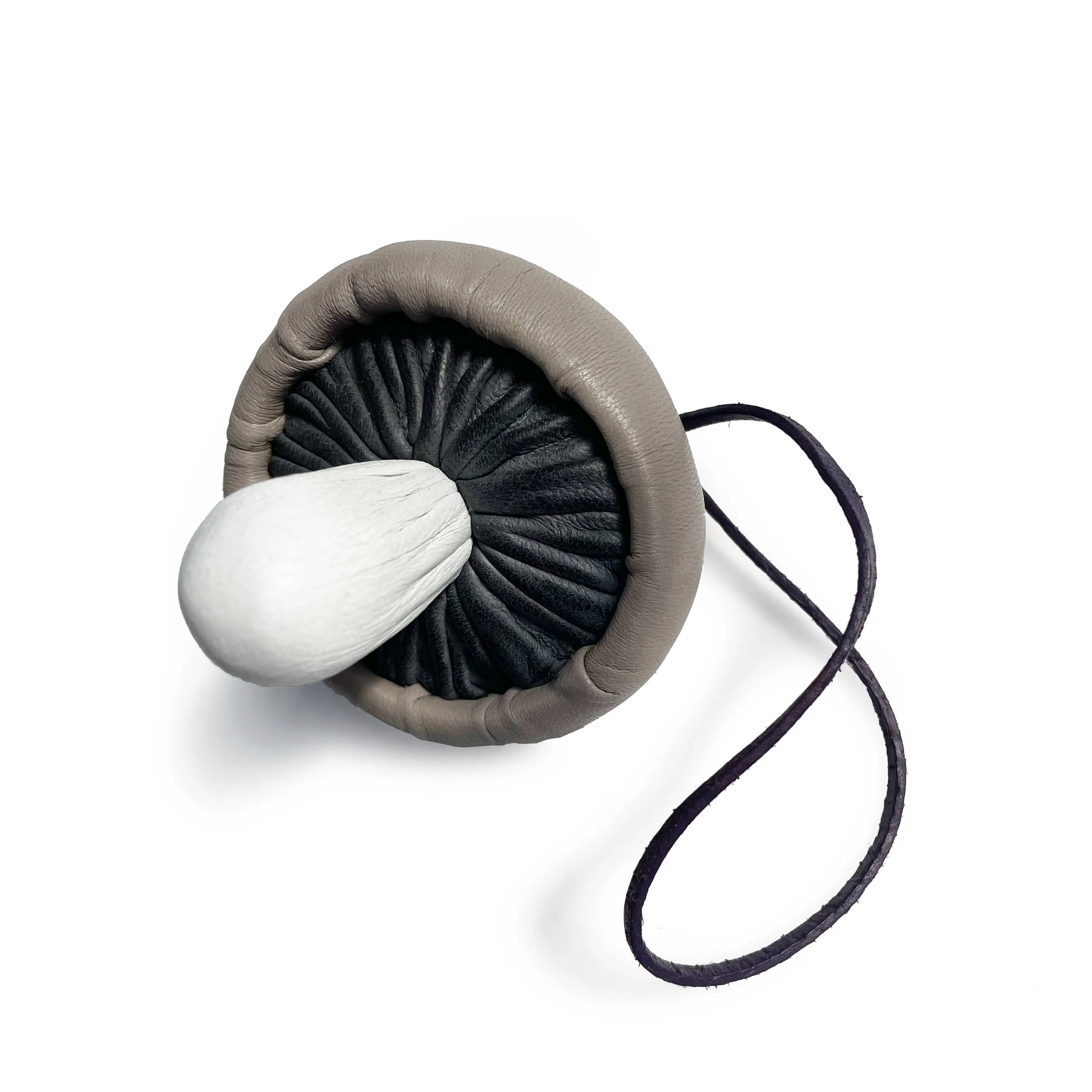 MUSHROOM_1C.jpg