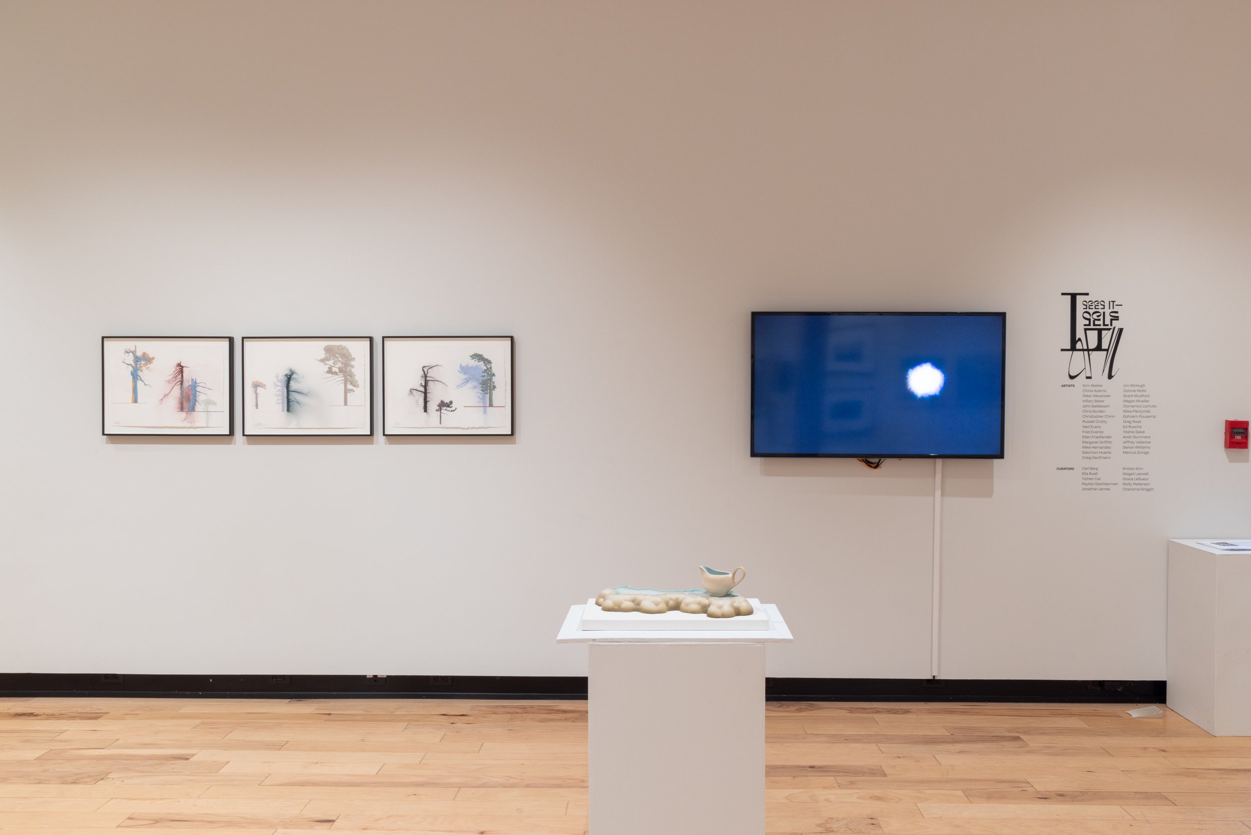 tzitzimitl , 2015, video, 55 seconds exhibited in Los Angeles Sees Itself at Green Art Gallery, Biola University, La Mirada, California, 2023
