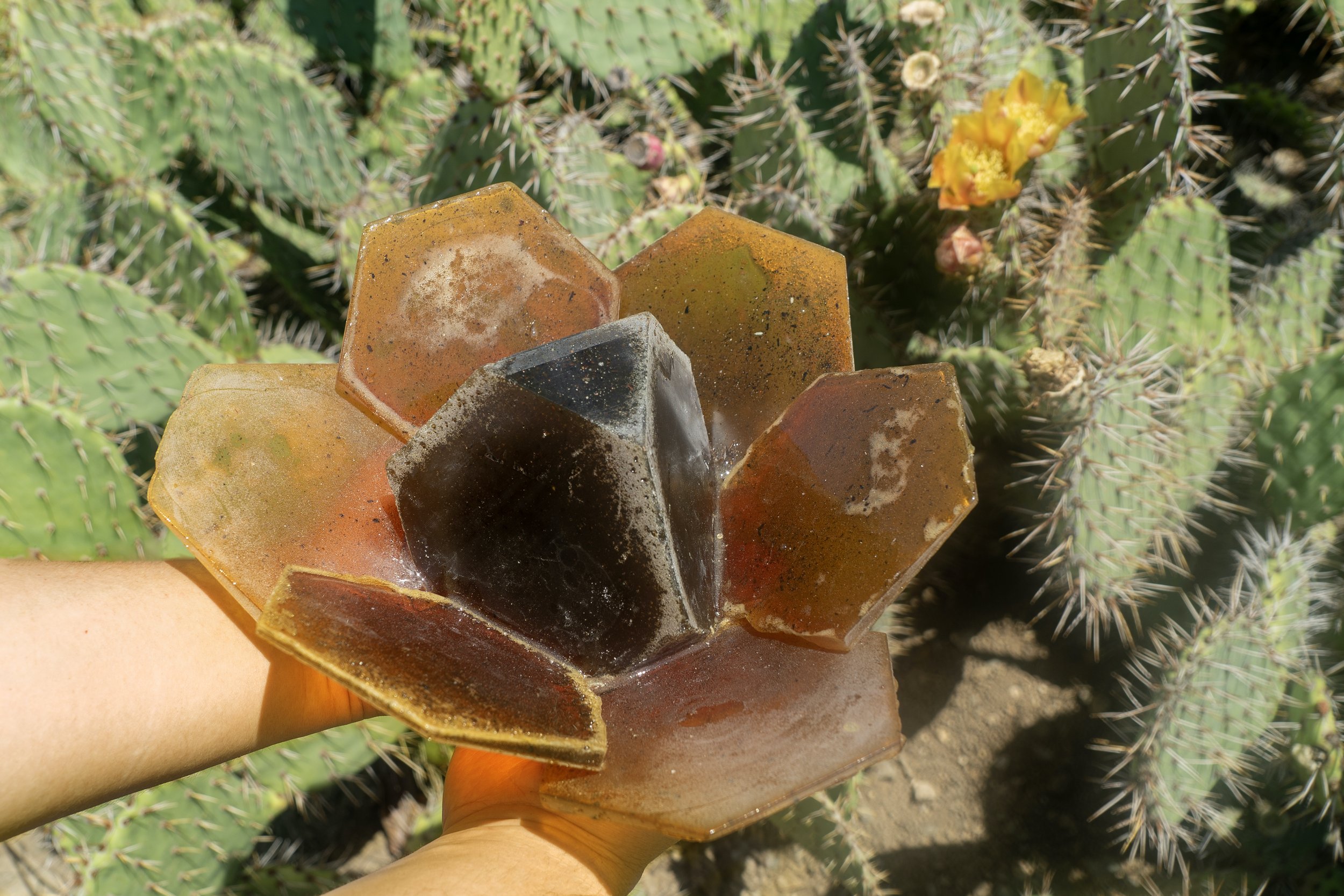   mirasol (nepantla) , copal, 4×11×11in/11×28×28cm 