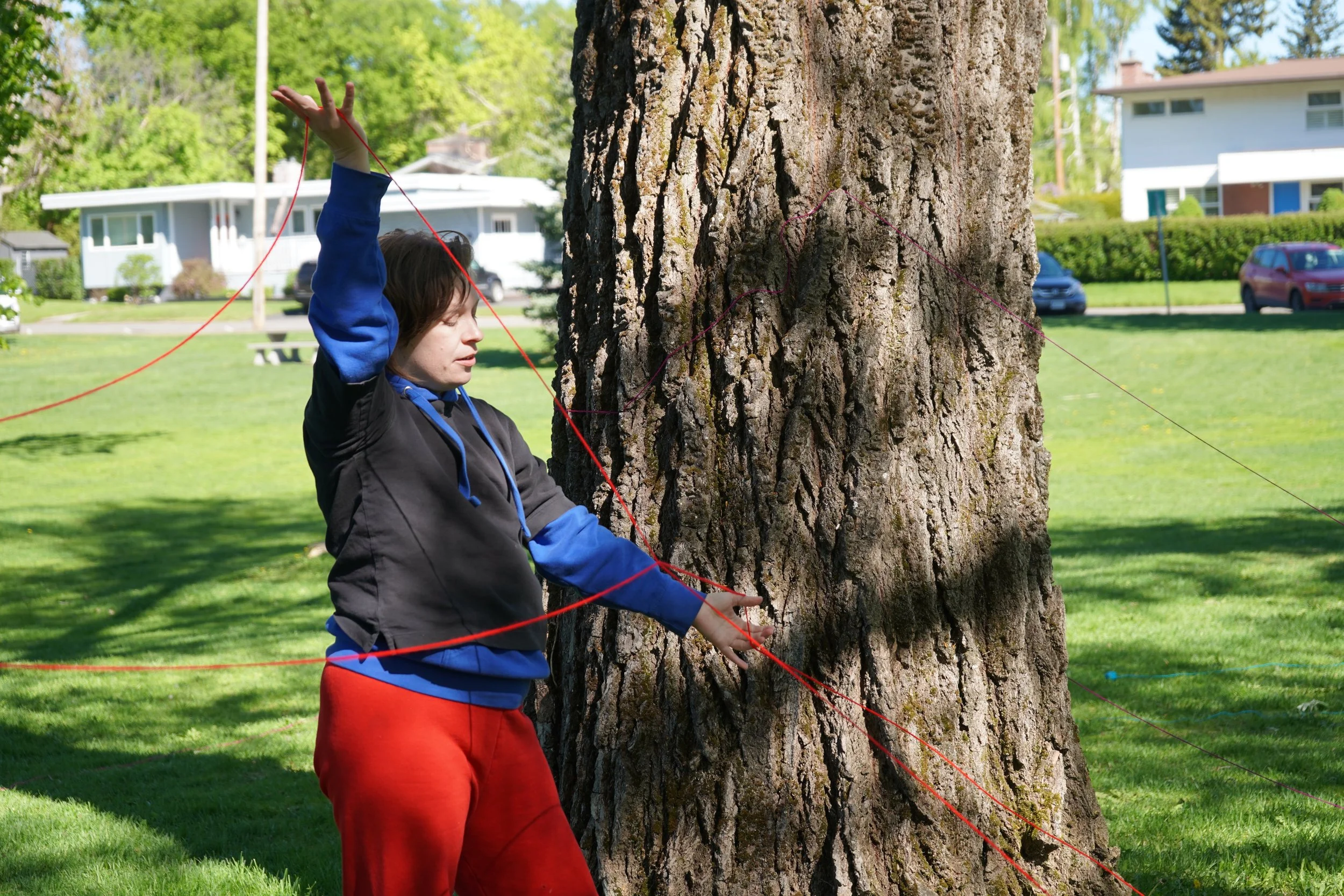 intertree.jpeg