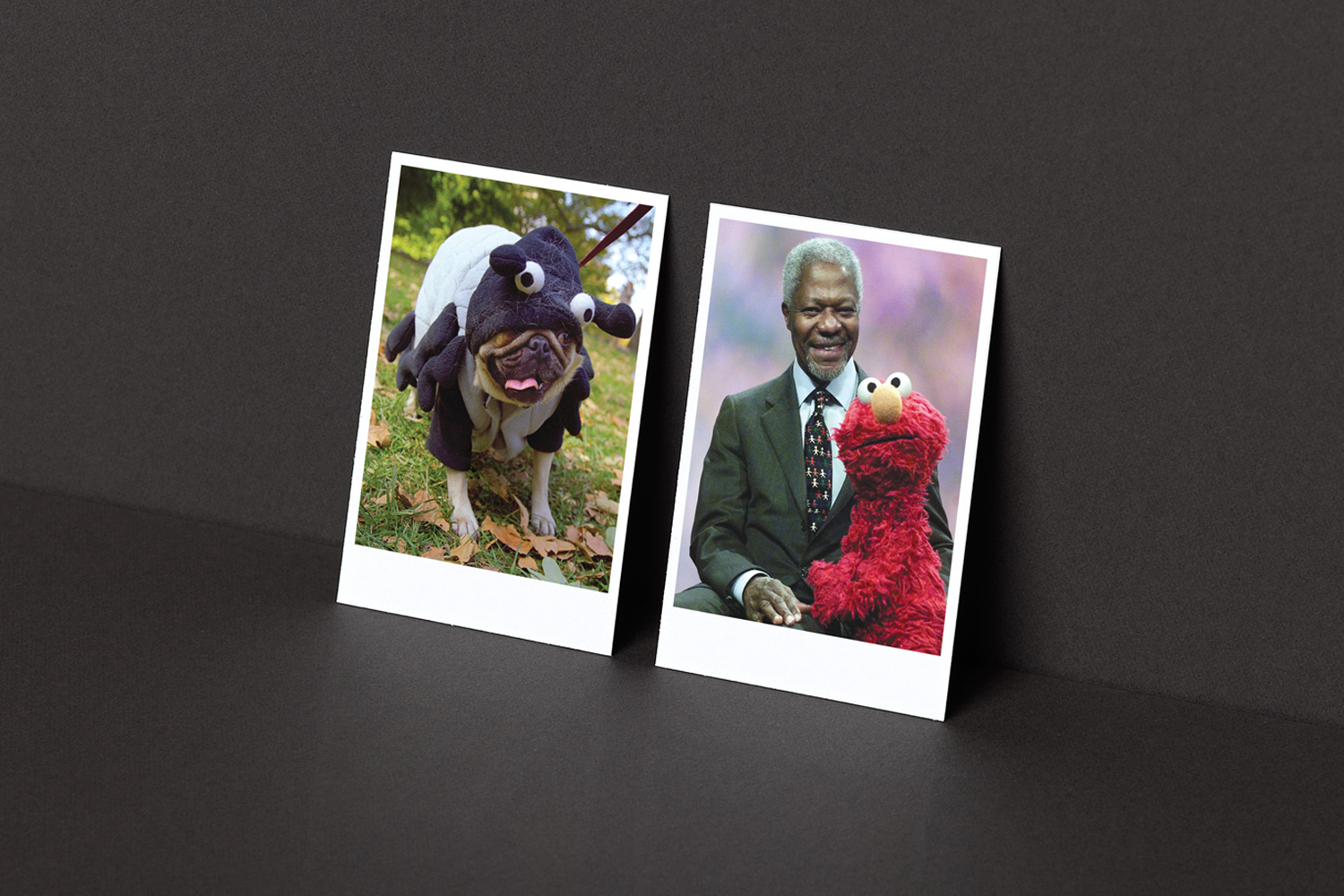 G+A Christmas cards (may all your dreams come true)