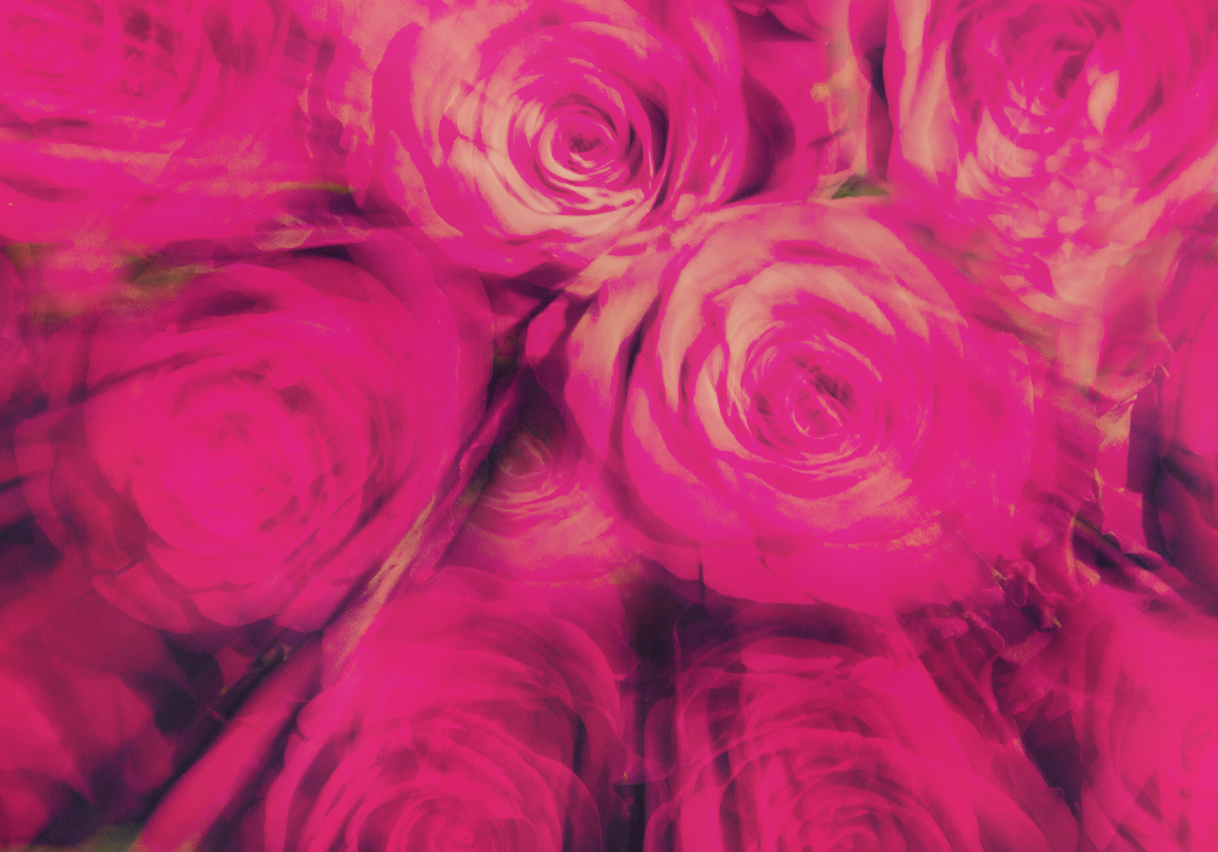 flowers I
