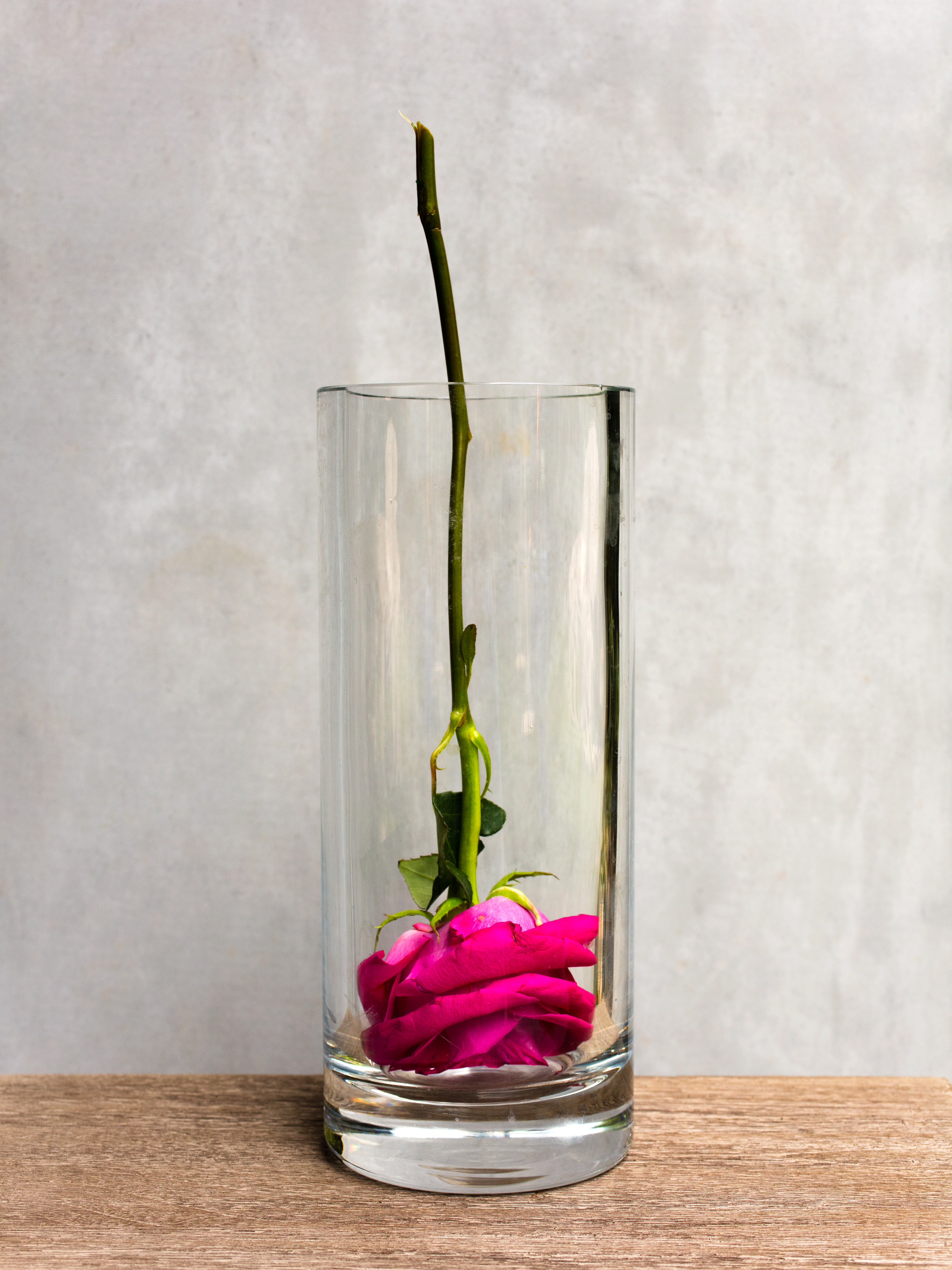 upside down rose in glass